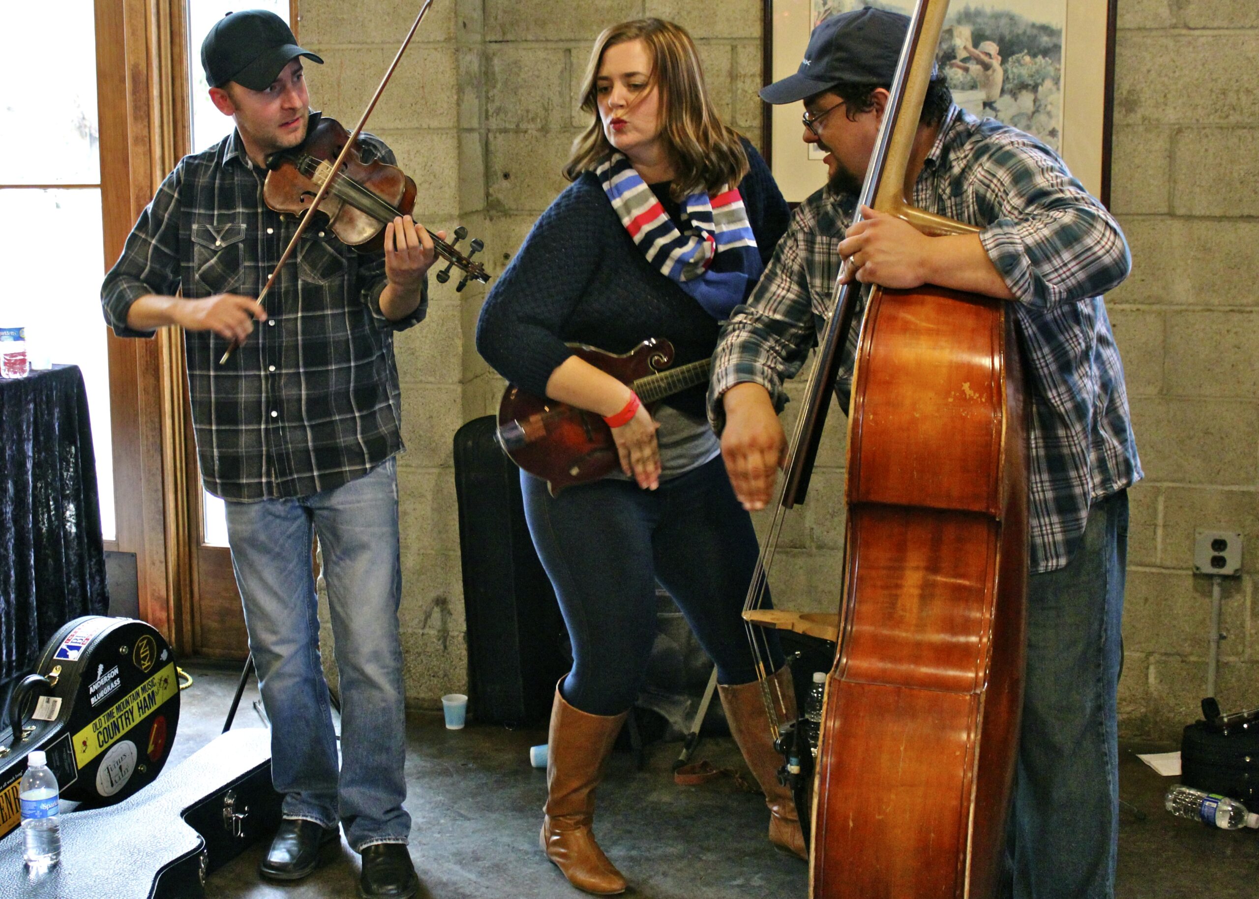 Musicians performing with violin, guitar, and double bass at Lodi Winegrape Commission event.