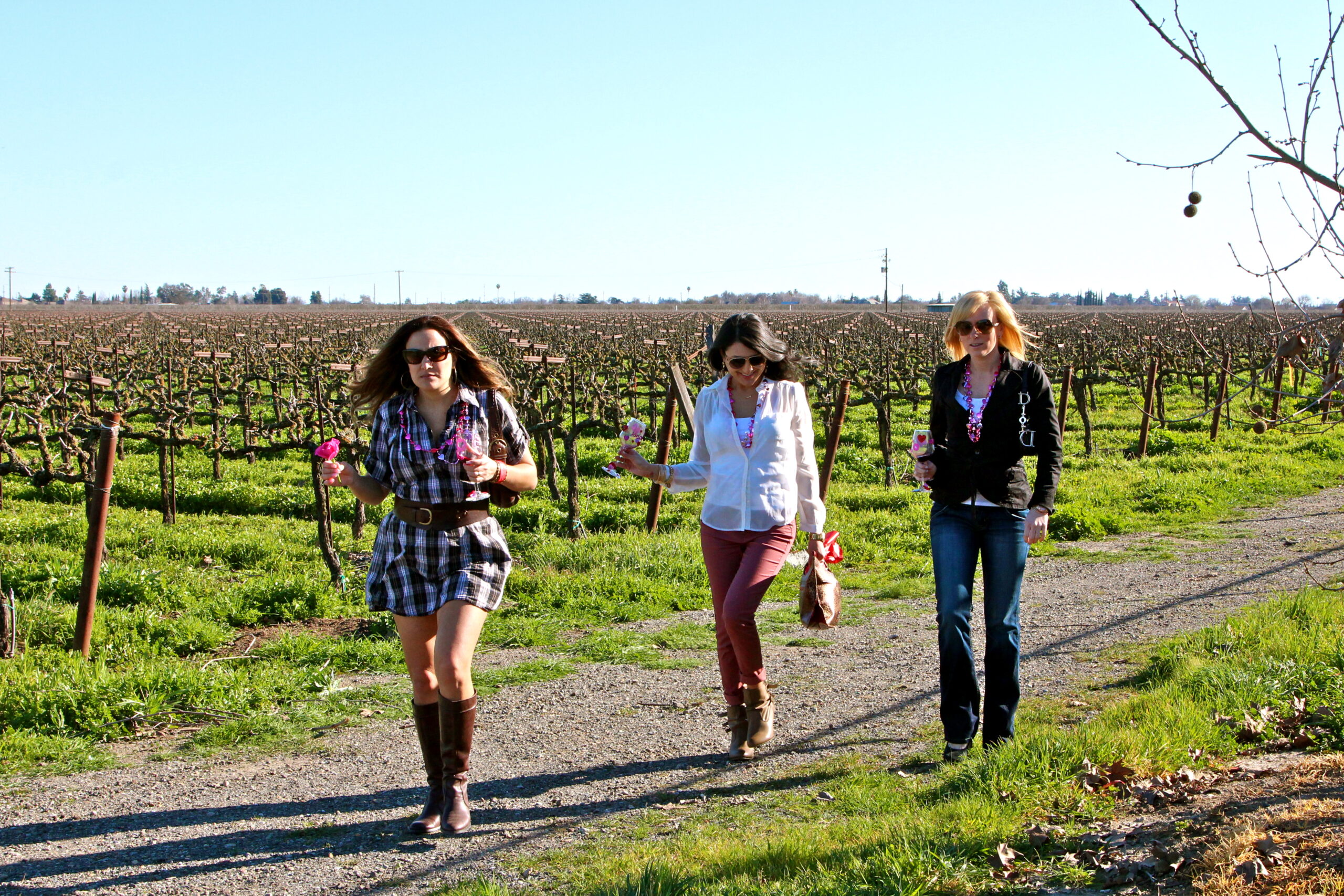 Three women walking through a vineyard in Lodi, California, enjoying a wine tour on a sunny day.