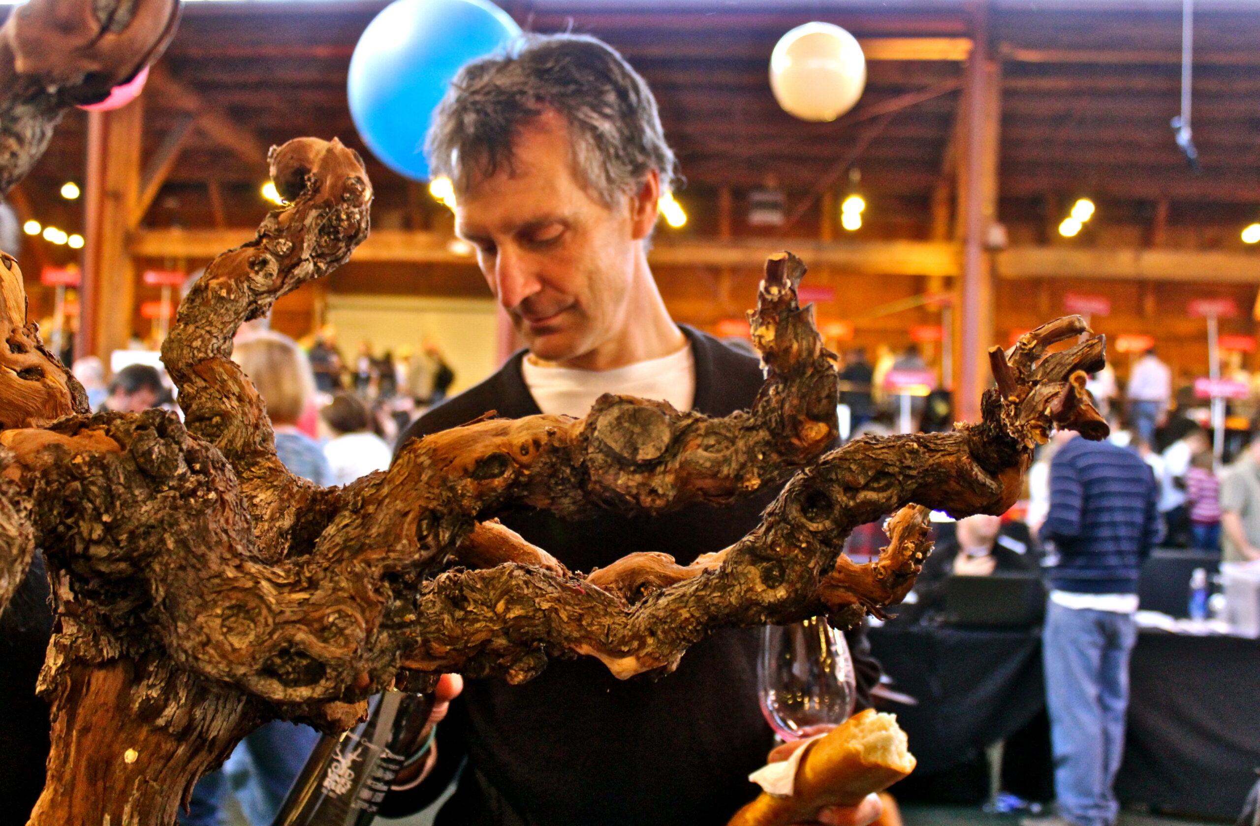 Man tasting wine at a Lodi wine event with a grapevine in the foreground.