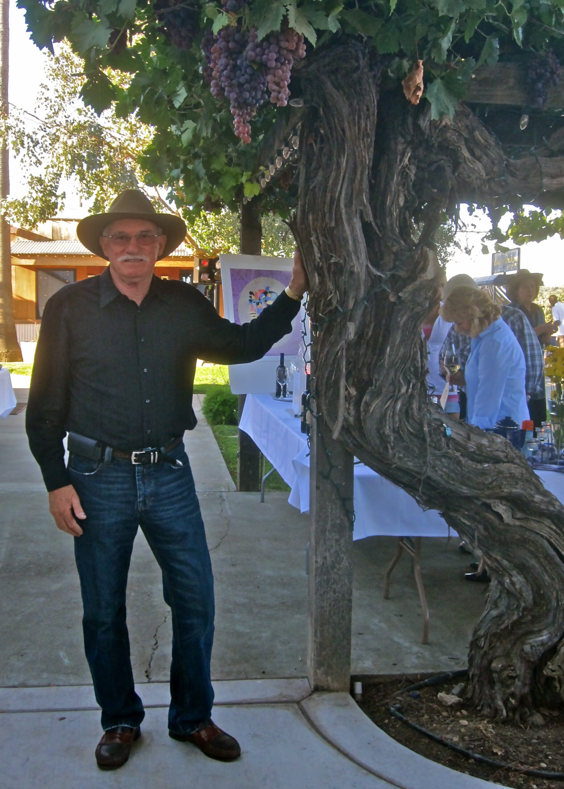 Man in black shirt and hat standing next to a gnarled grapevine at a wine event.
