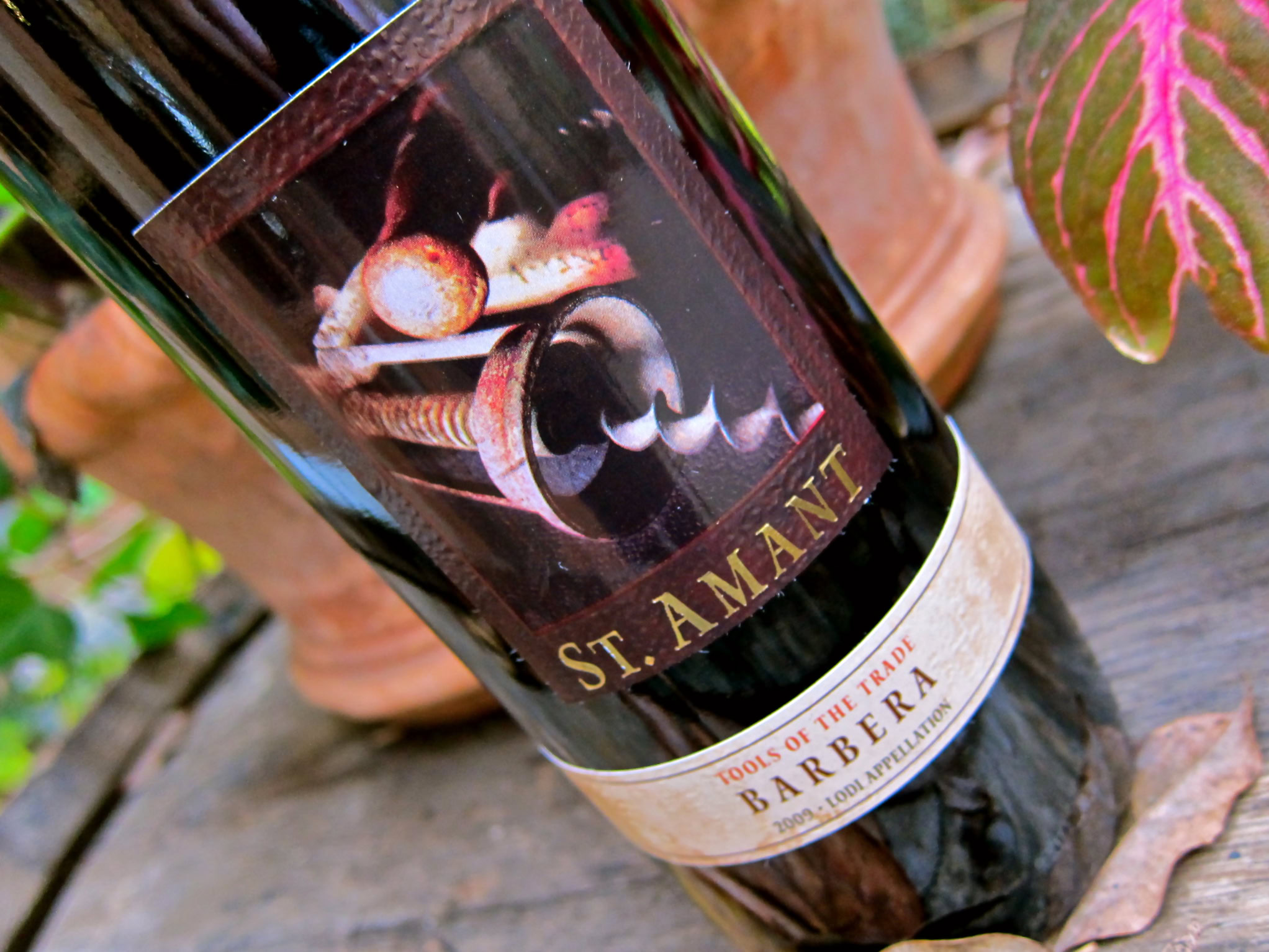 Close-up of St. Amant Barbera wine bottle with vineyard background, highlighting Lodi Winegrape Commission's quality wines.