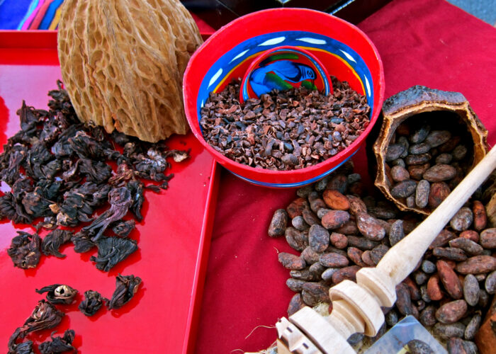 Close-up of wine grapes, grape seeds, and processing tools for Lodi wine production.