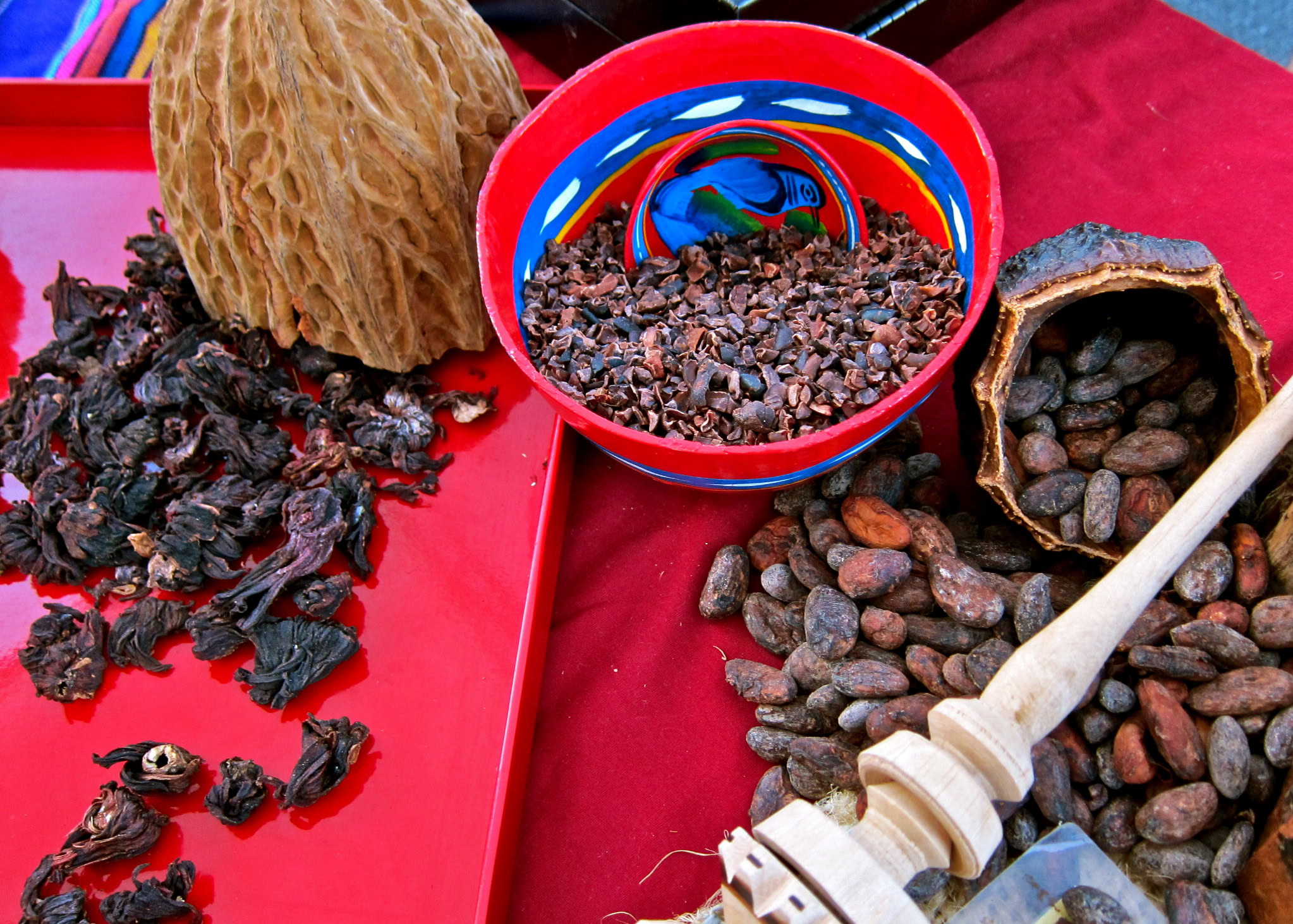 Close-up of wine grapes, grape seeds, and processing tools for Lodi wine production.