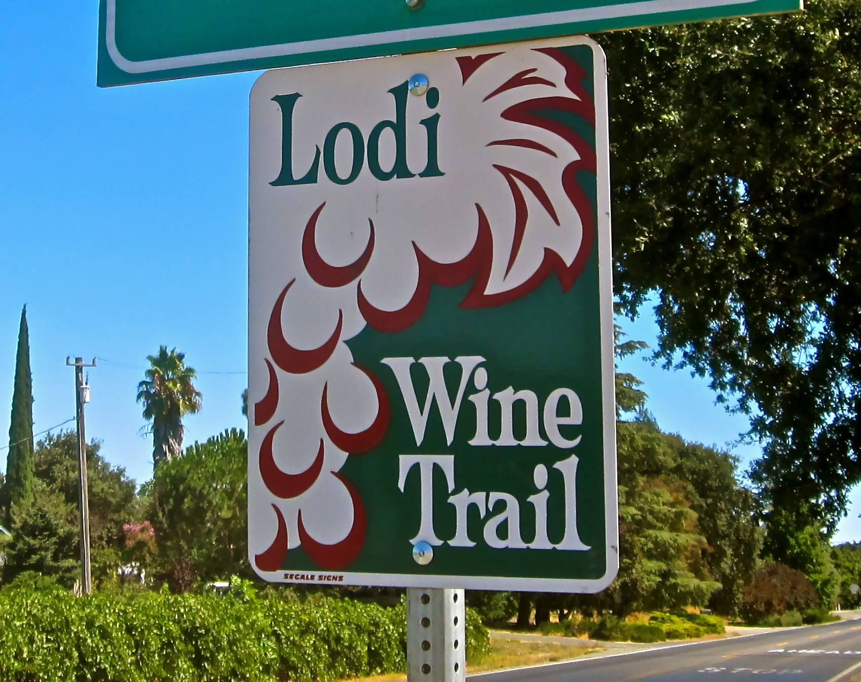 Lodi Wine Trail sign with grapevine graphic and green background in a sunny outdoor setting.