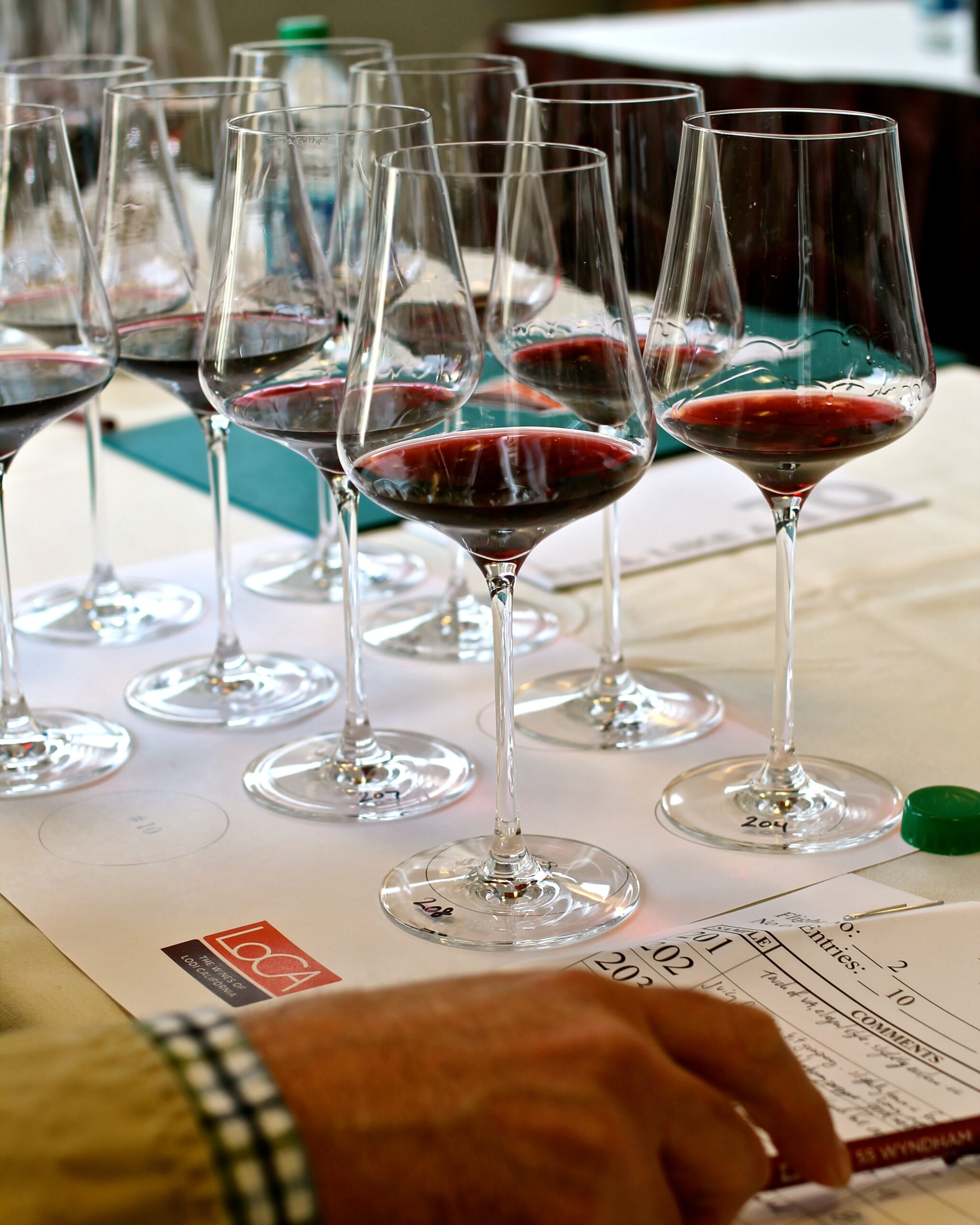 Multiple wine glasses filled with red wine at a wine tasting event, showcasing Lodi winegrapes.