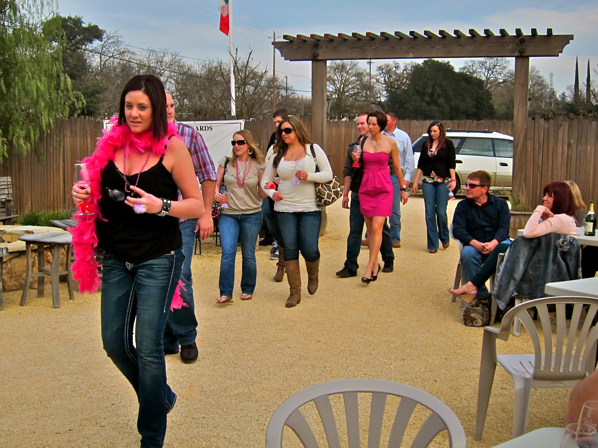 Group of people at a wine tasting event in Lodi, California, with a woman in the foreground wearing a pink feather boa.