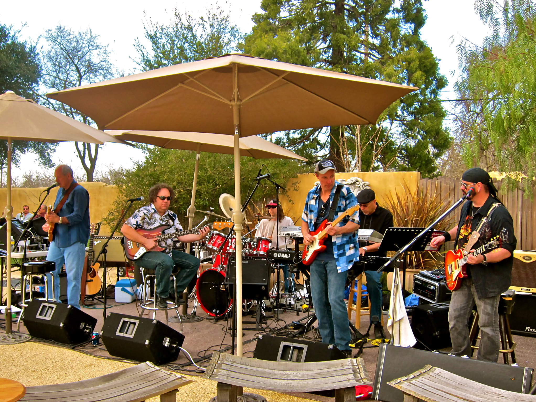 Live band performing outdoors at a Lodi wine event with trees and umbrellas in the background.