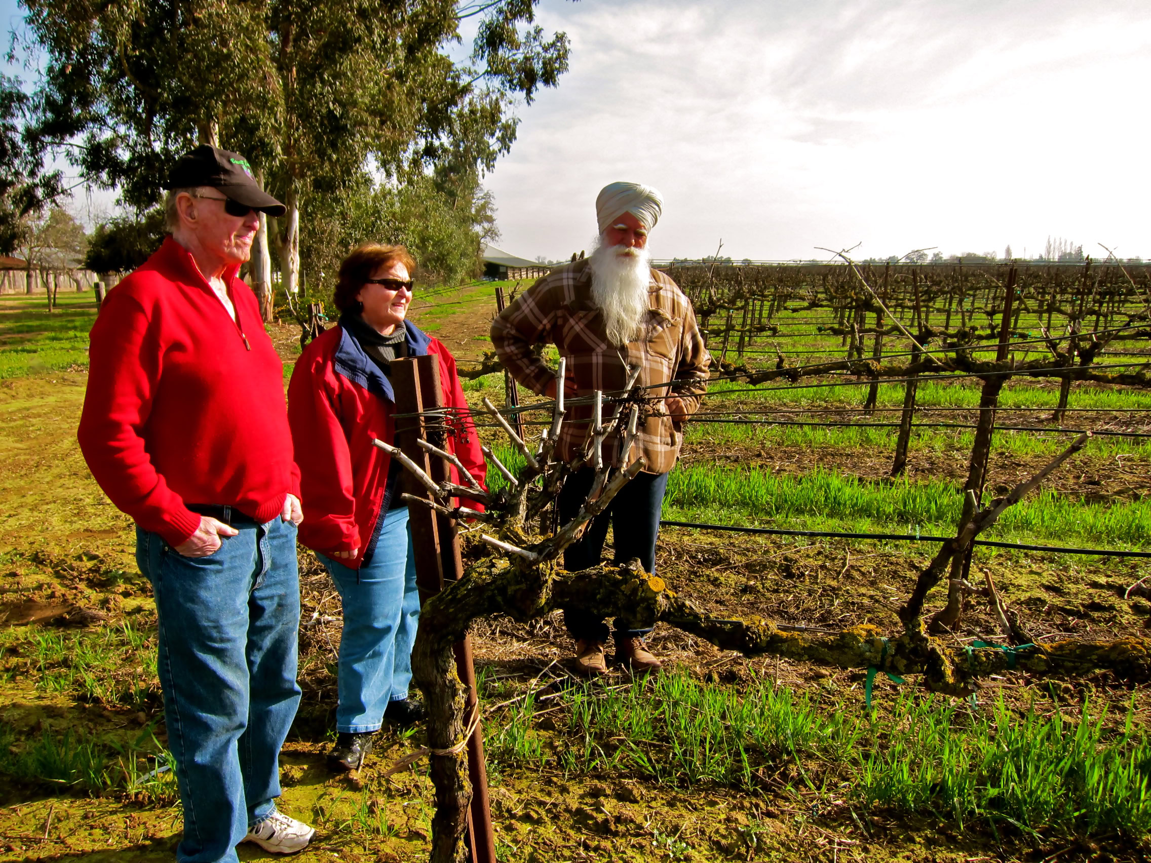 Three people inspecting a grapevine in a vineyard during daytime, representing Lodi Winegrape Commission activities.