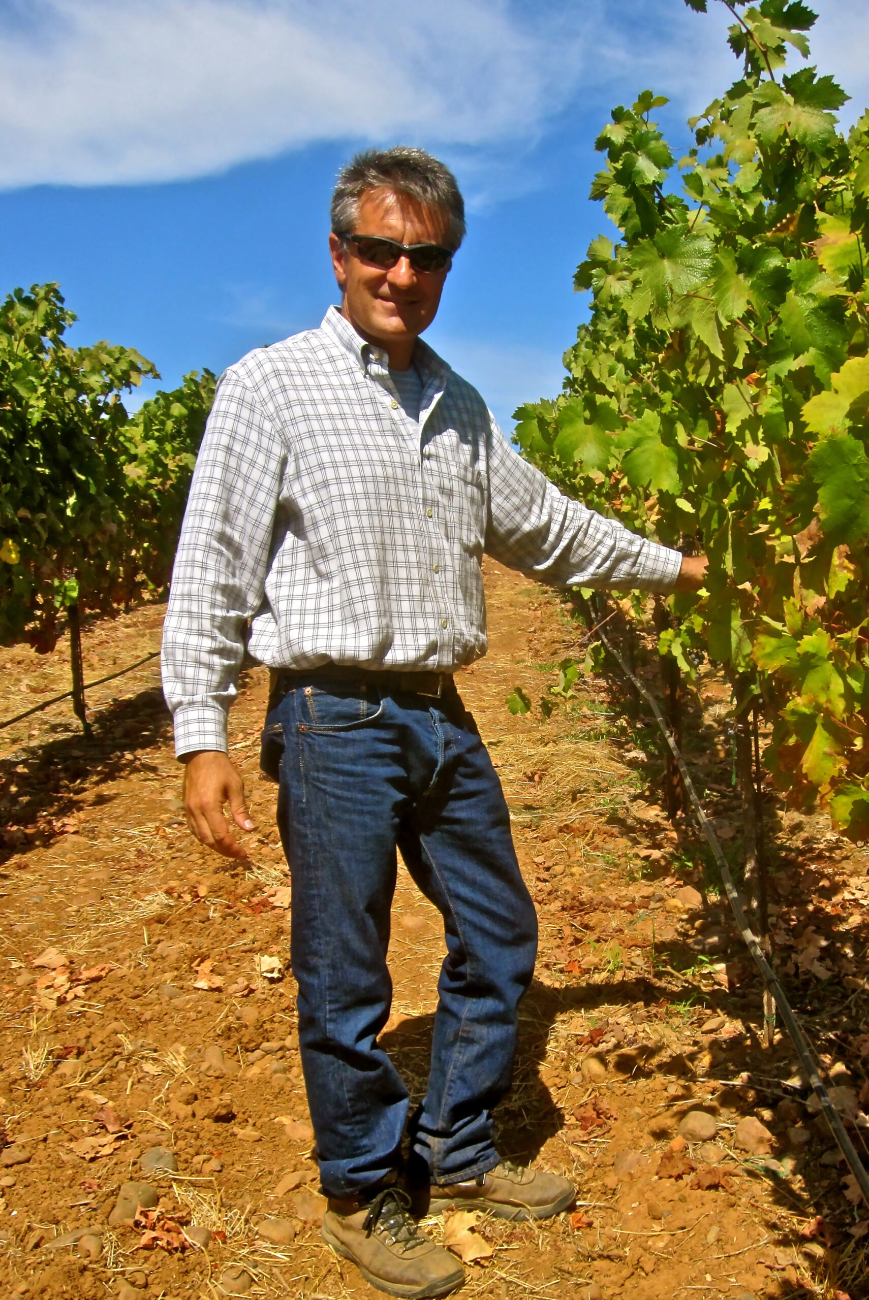 Man in vineyard with lush grapevines under a clear blue sky, showcasing Lodi's premium winegrapes.