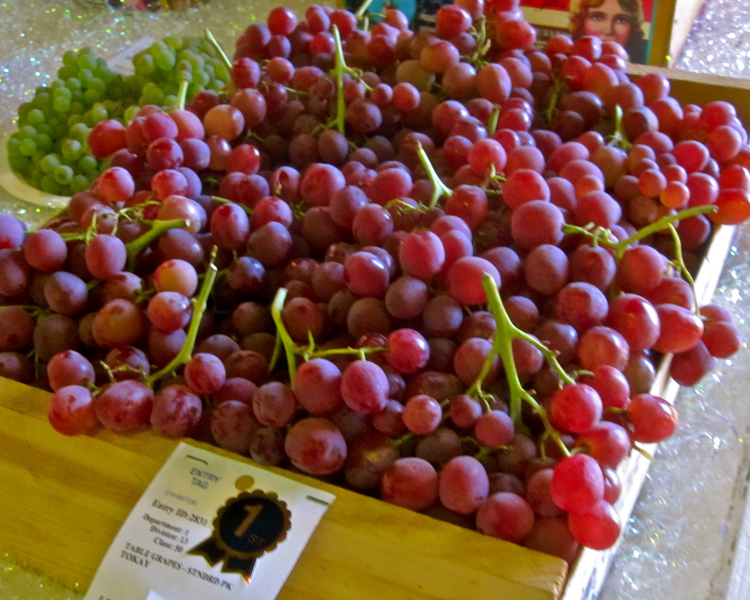 Close-up of ripe red winegrapes from Lodi, California, ready for harvest and winemaking.