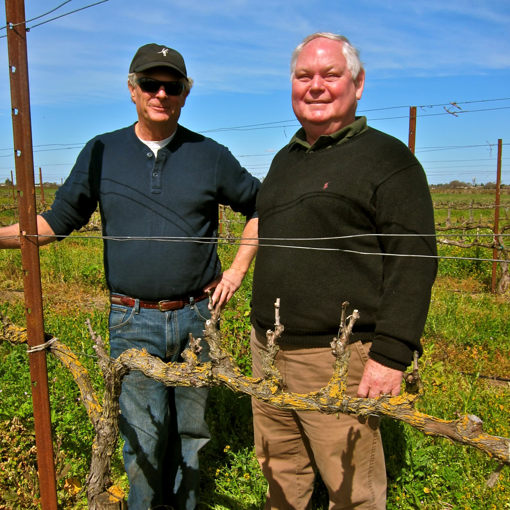 Two men in vineyard with grapevines, sunny day, Lodi Winegrape Commission.