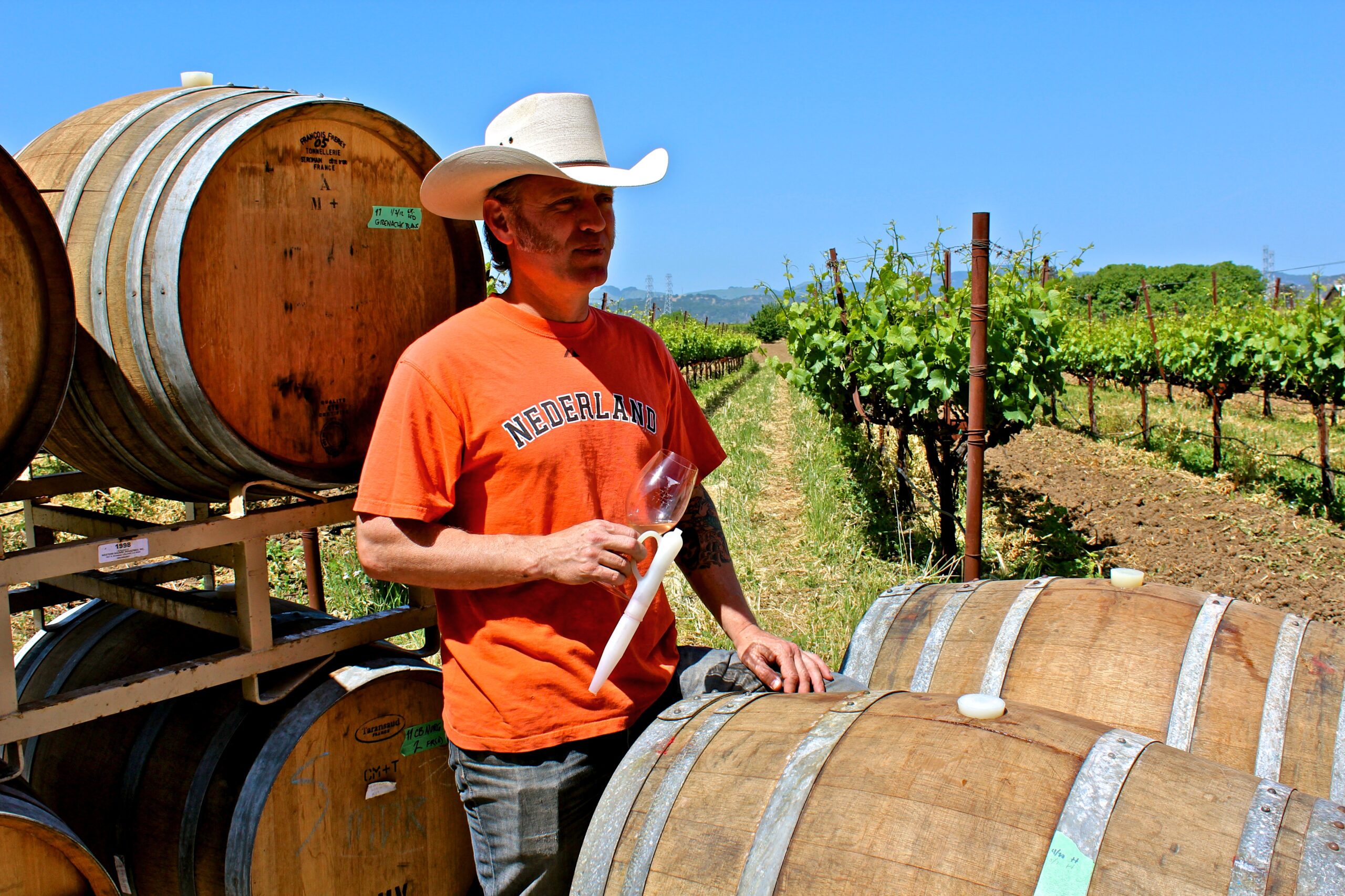 Vineyard worker in Lodi wine region inspecting wine barrels and grapevines under a clear blue sky.