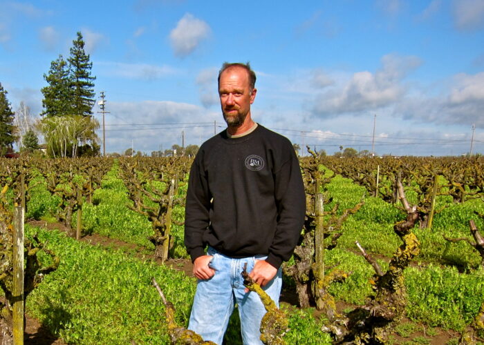 Man standing in a lush vineyard with green grapevines under a partly cloudy sky.