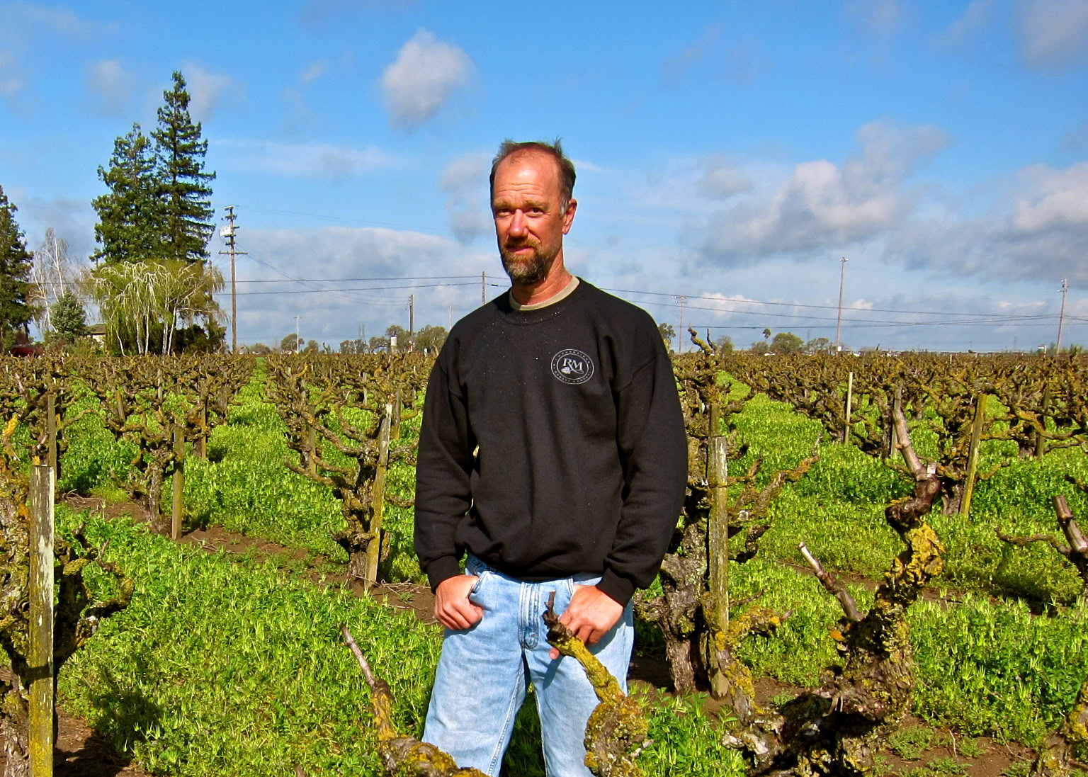 Man standing in a lush vineyard with green grapevines under a partly cloudy sky.