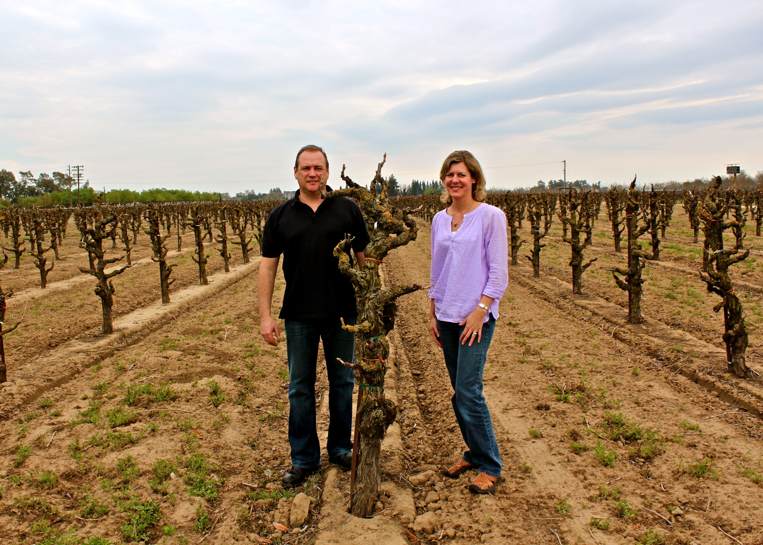 Two people standing in a vineyard with pruned grapevines and a cloudy sky in Lodi, California.