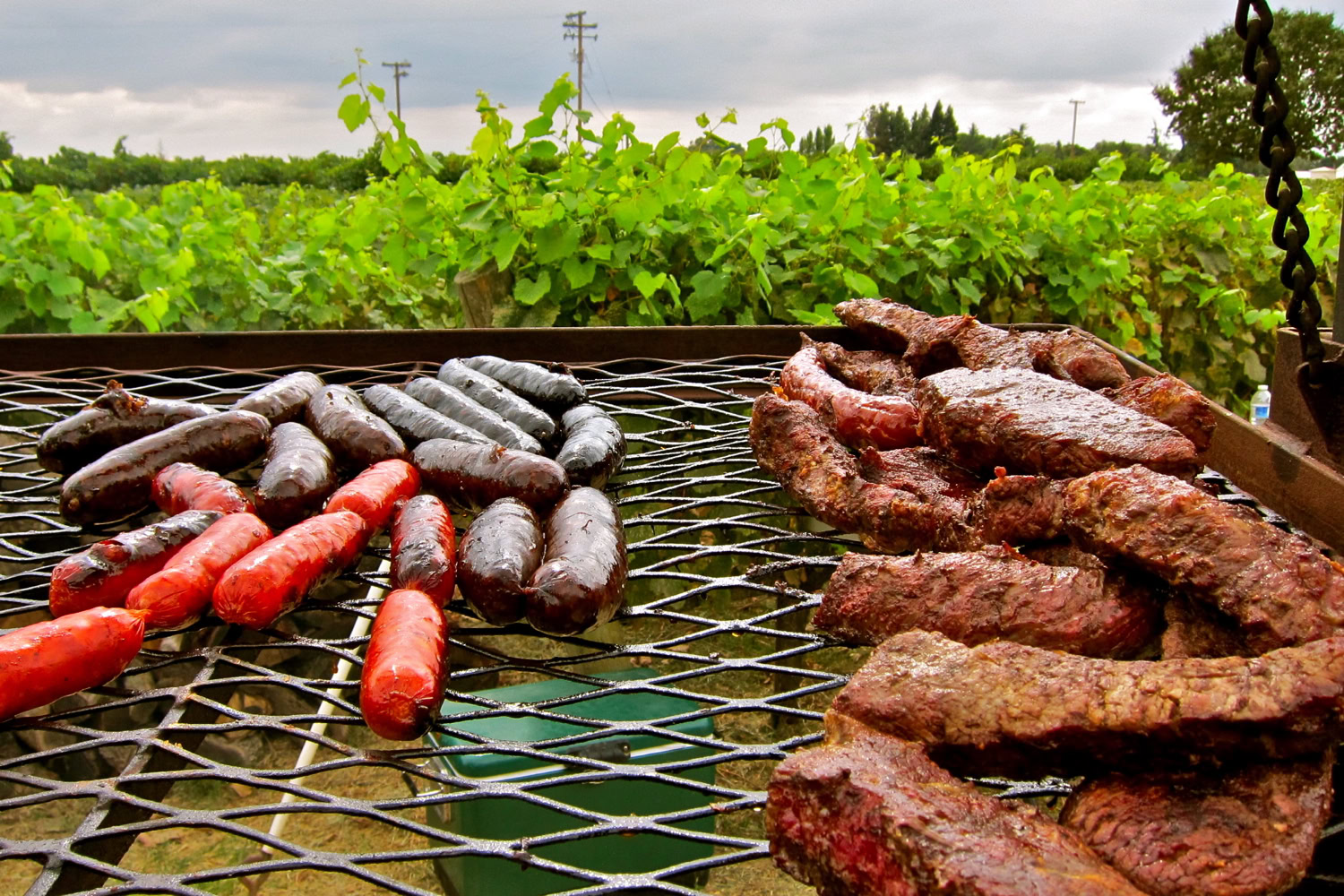Barbecue grilling with sausages and steaks on a wire rack over a vineyard backdrop in Lodi, California.