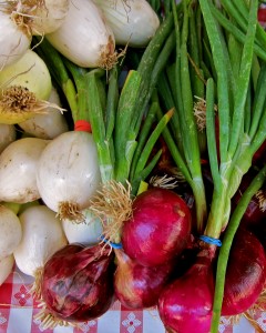 Freshly harvested onions and garlic from Lodi, showcasing vibrant colors and healthy bulbs.