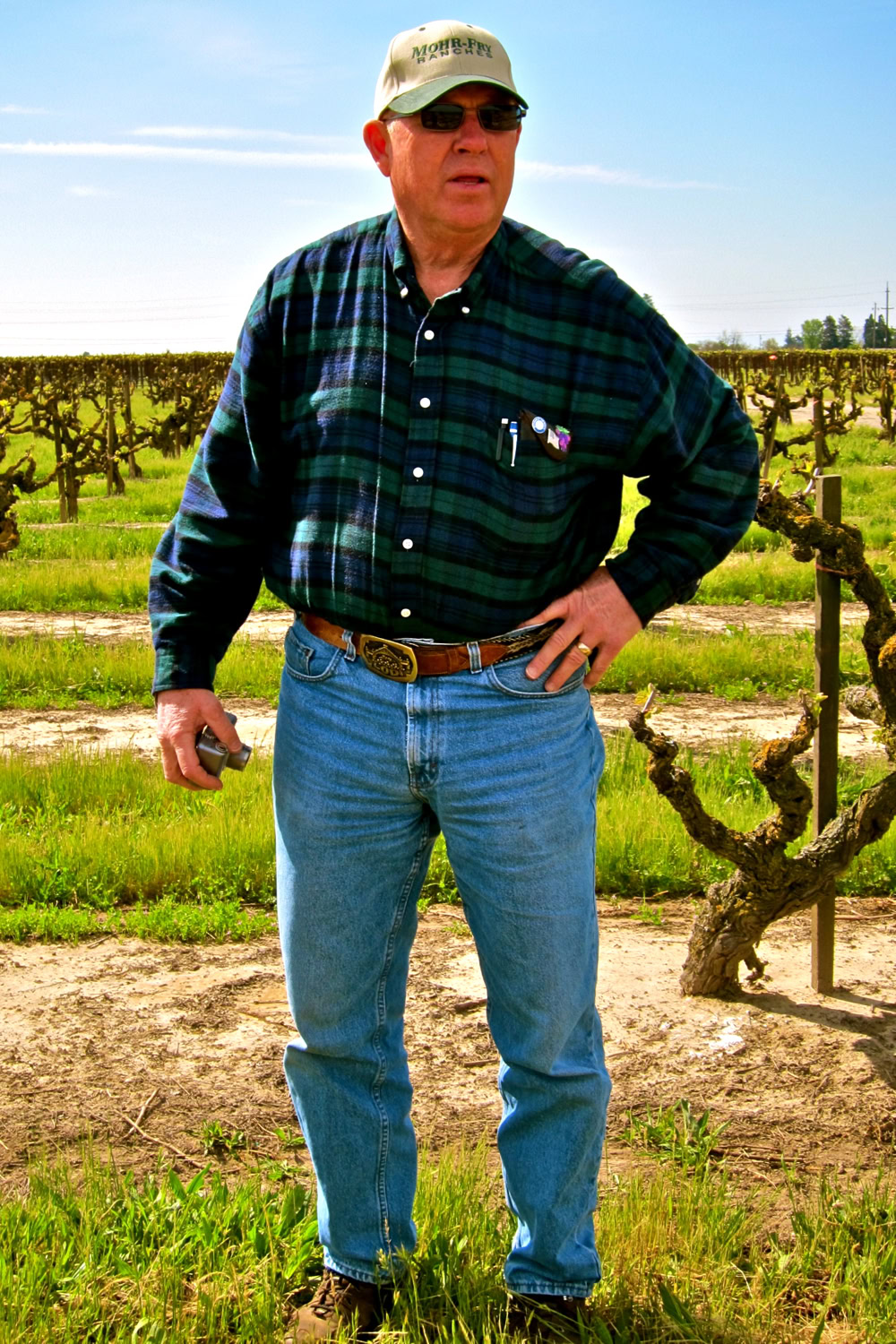 Man inspecting grapevines in a Lodi vineyard during daytime.