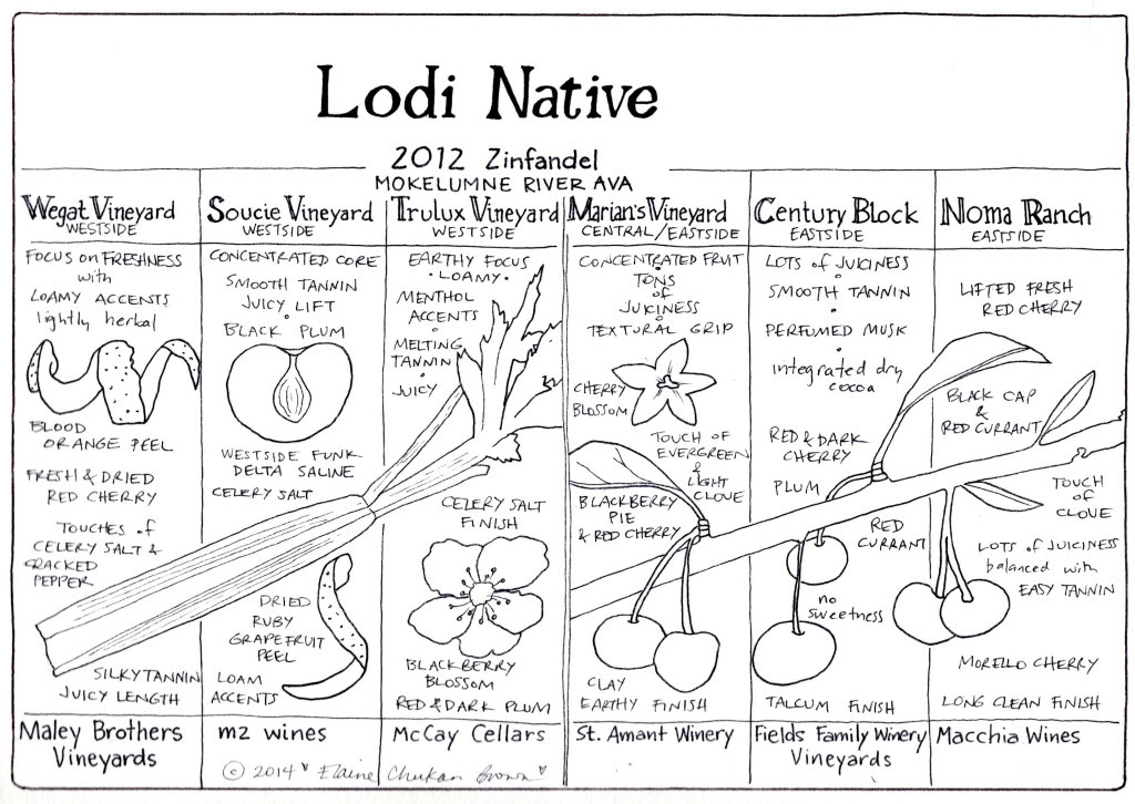 Detailed map of Lodi Native 2012 Zinfandel vineyards showing vineyard blocks and grape varieties.