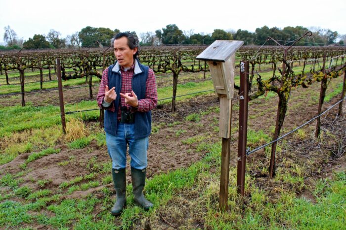 Man in vineyard explaining grapevines at Lodi Winegrape Commission.