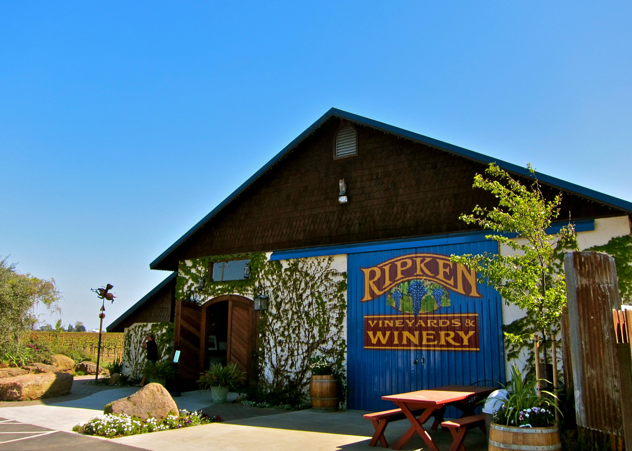 Ripken Vineyards & Winery building with blue signage and outdoor seating in Lodi, California.