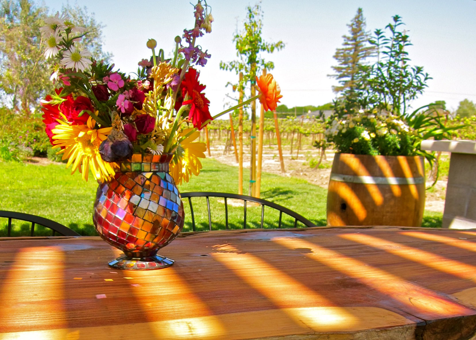 Colorful flower arrangement on a wooden table with vineyard in the background, sunny day at Lodi Winegrape Commission.