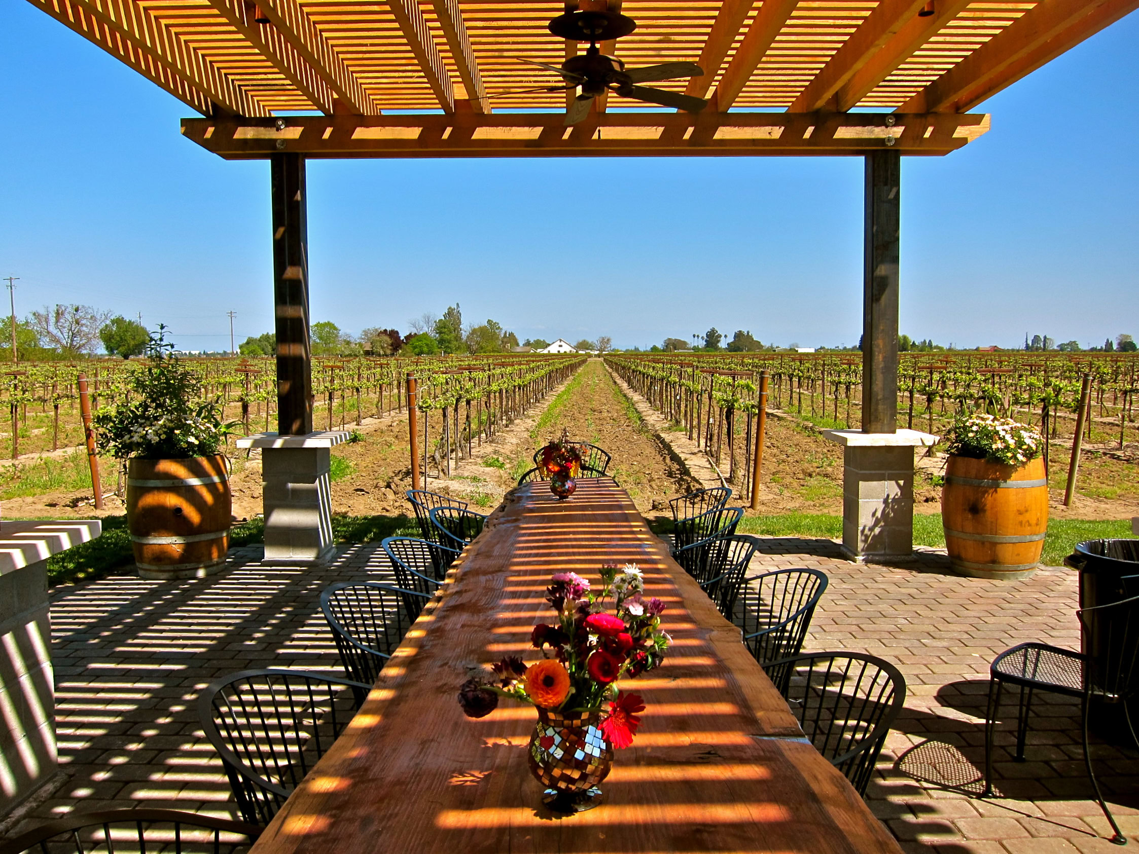 Scenic view of a vineyard with a shaded outdoor dining area and a long table set for an event.