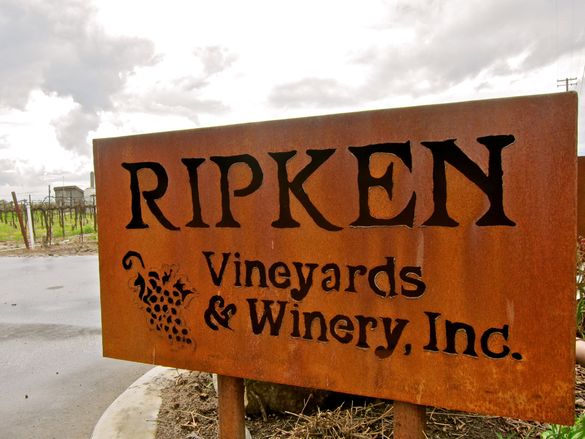 Rustic sign for Ripken Vineyards & Winery Inc. in a vineyard setting under cloudy sky.