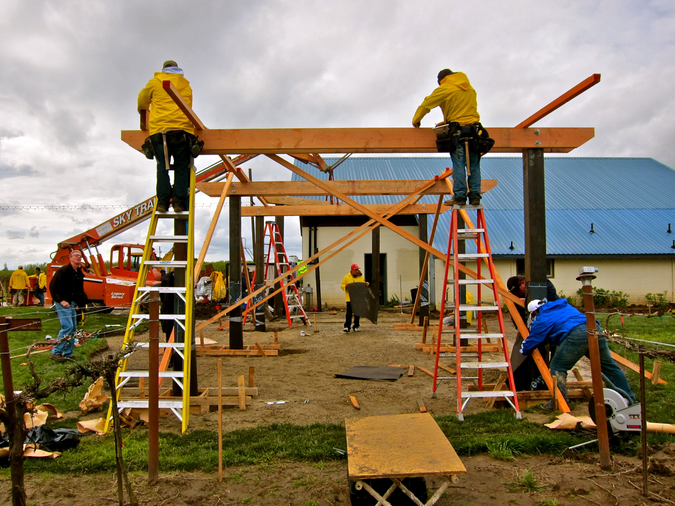 Workers building a wooden structure for Lodi winegrape research and education in a vineyard setting.