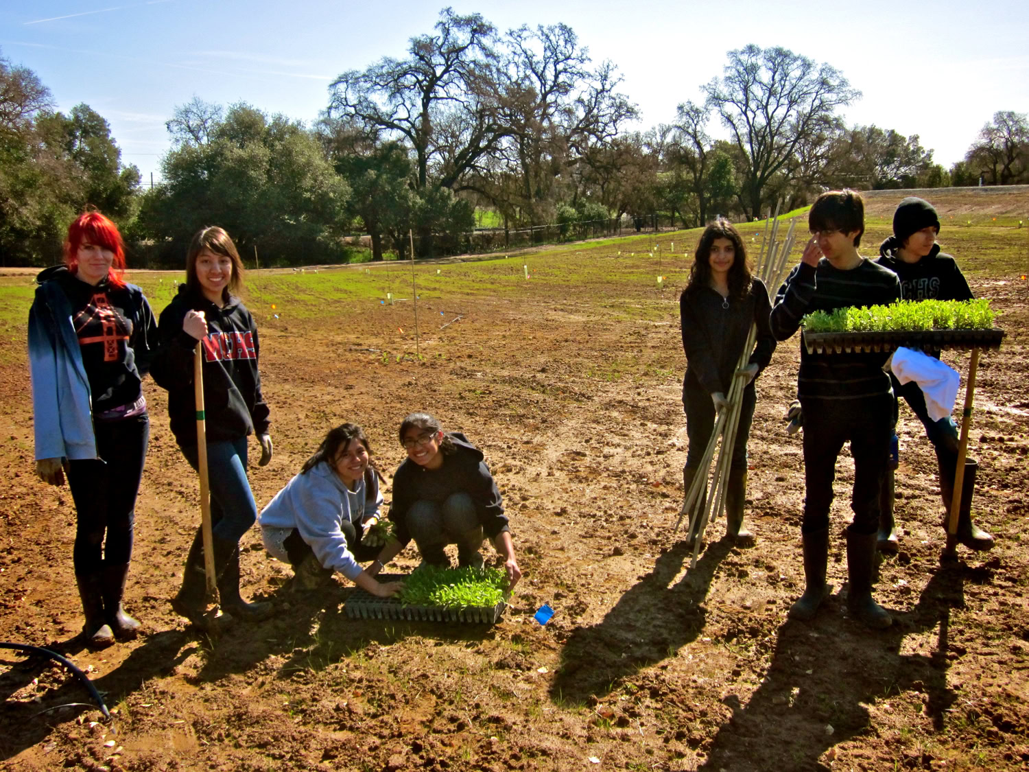 Group of young people planting grapevines in a vineyard for Lodi Winegrape Commission.