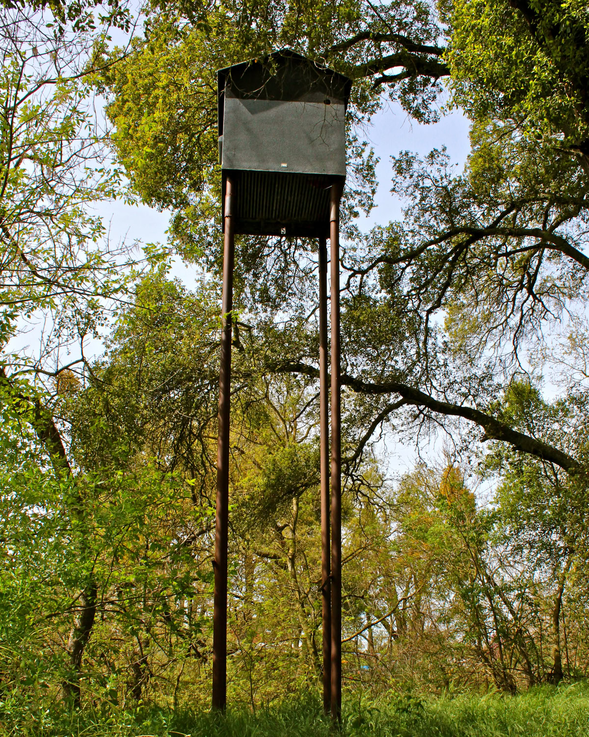 Elevated winegrape monitoring tower in Lodi vineyards for crop management and research.