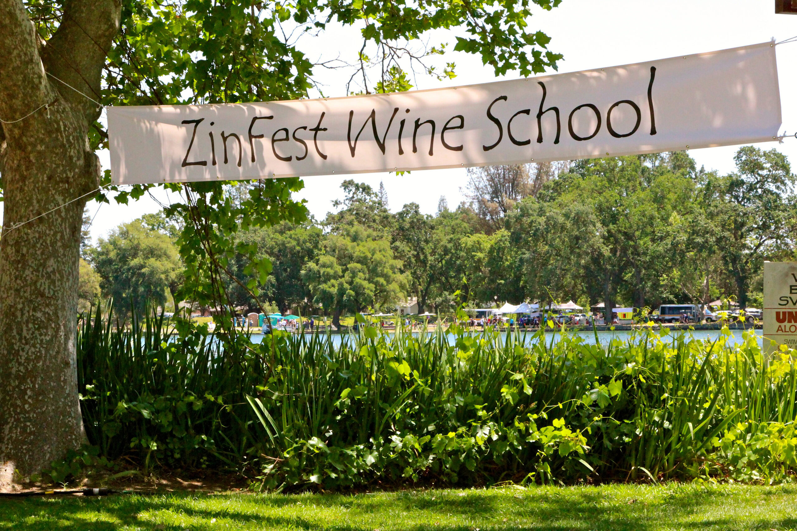 ZinFest Wine School banner at Lodi Winegrape Commission with lush greenery and trees in the background.