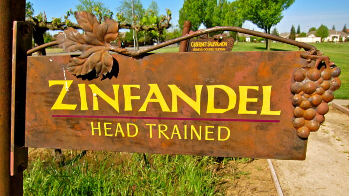 Zinfandel vineyard sign with head trained vines and grape cluster decoration in Lodi, California.