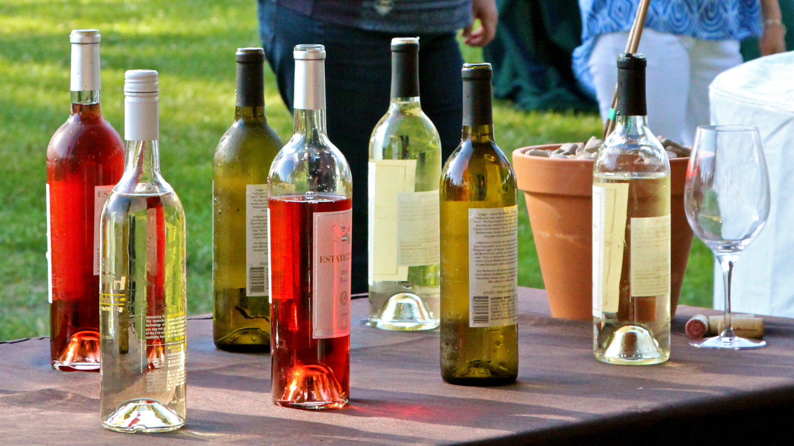 Selection of wine bottles from Lodi Winegrape Commission for tasting event.