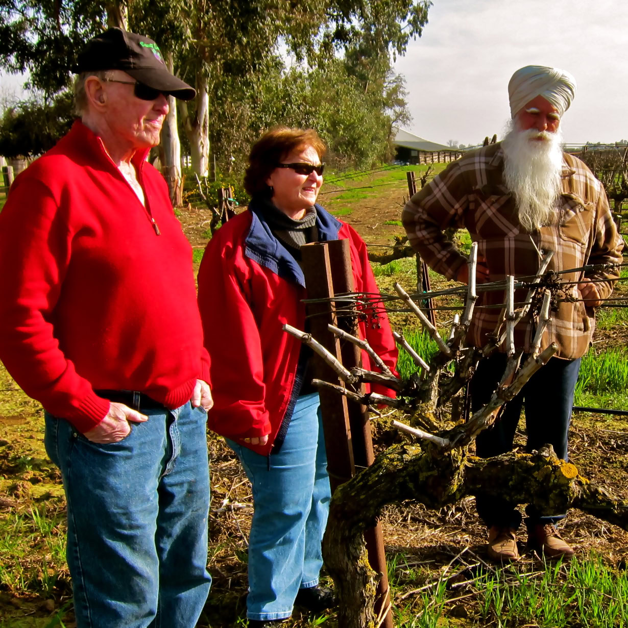 Group of people touring a vineyard with grapevines in Lodi, California, during daytime.