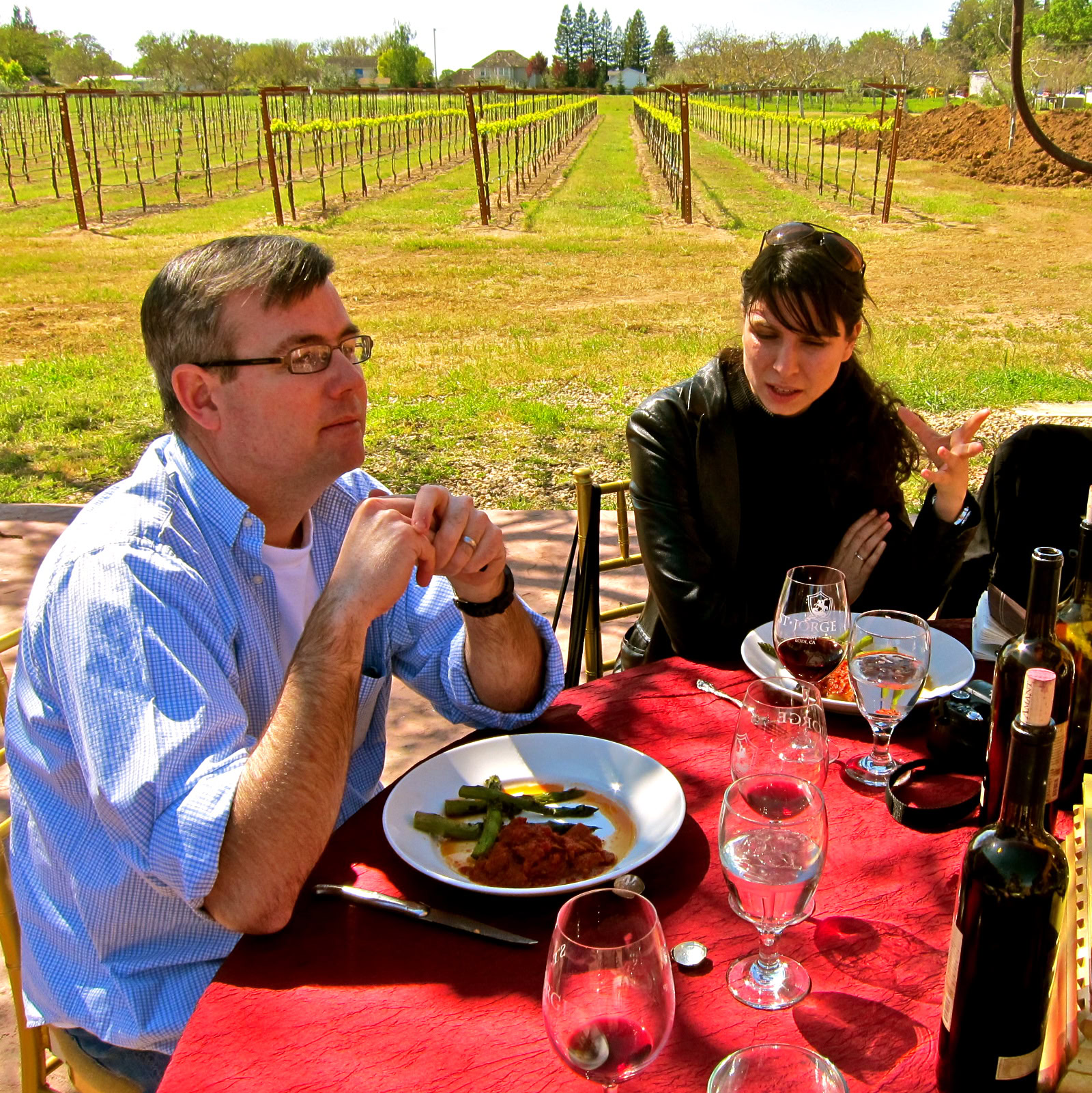 People enjoying wine tasting outdoors at a vineyard with grapevines in the background.