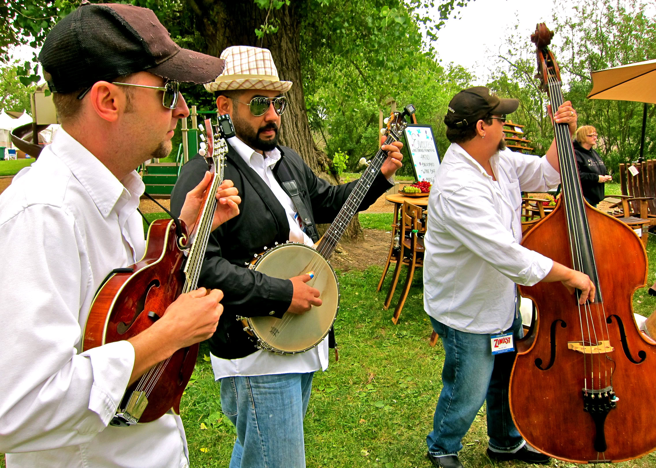 Musicians playing string instruments outdoors at a Lodi wine event with trees and tables in the background.
