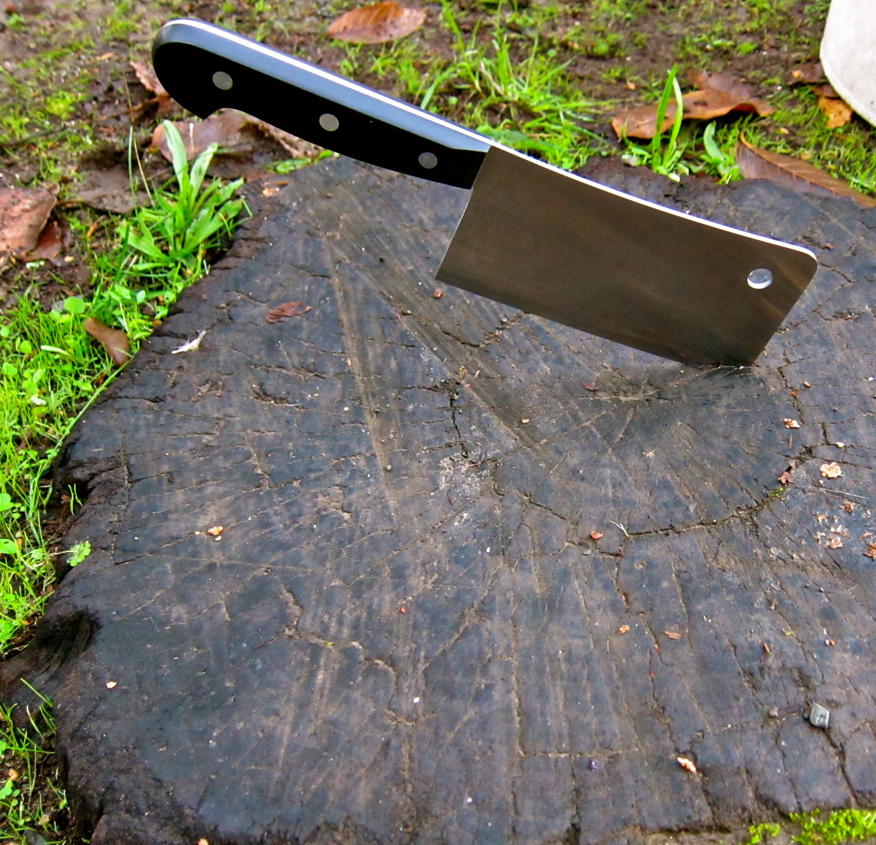 A knife stuck into a tree stump with green grass and leaves around it, representing vineyard work in Lodi wine country.