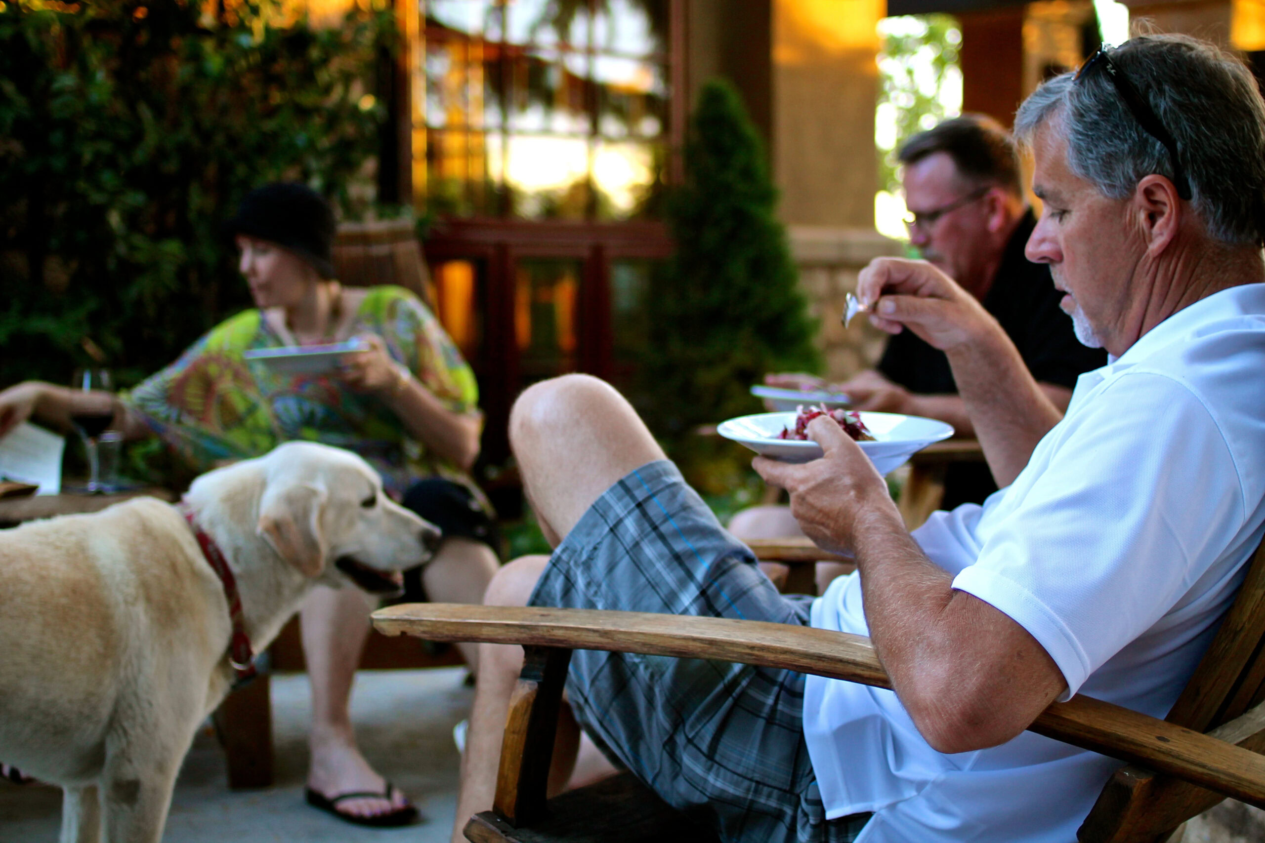 People enjoying a meal outdoors with a dog, surrounded by lush greenery, representing Lodi Winegrape Commission activities.