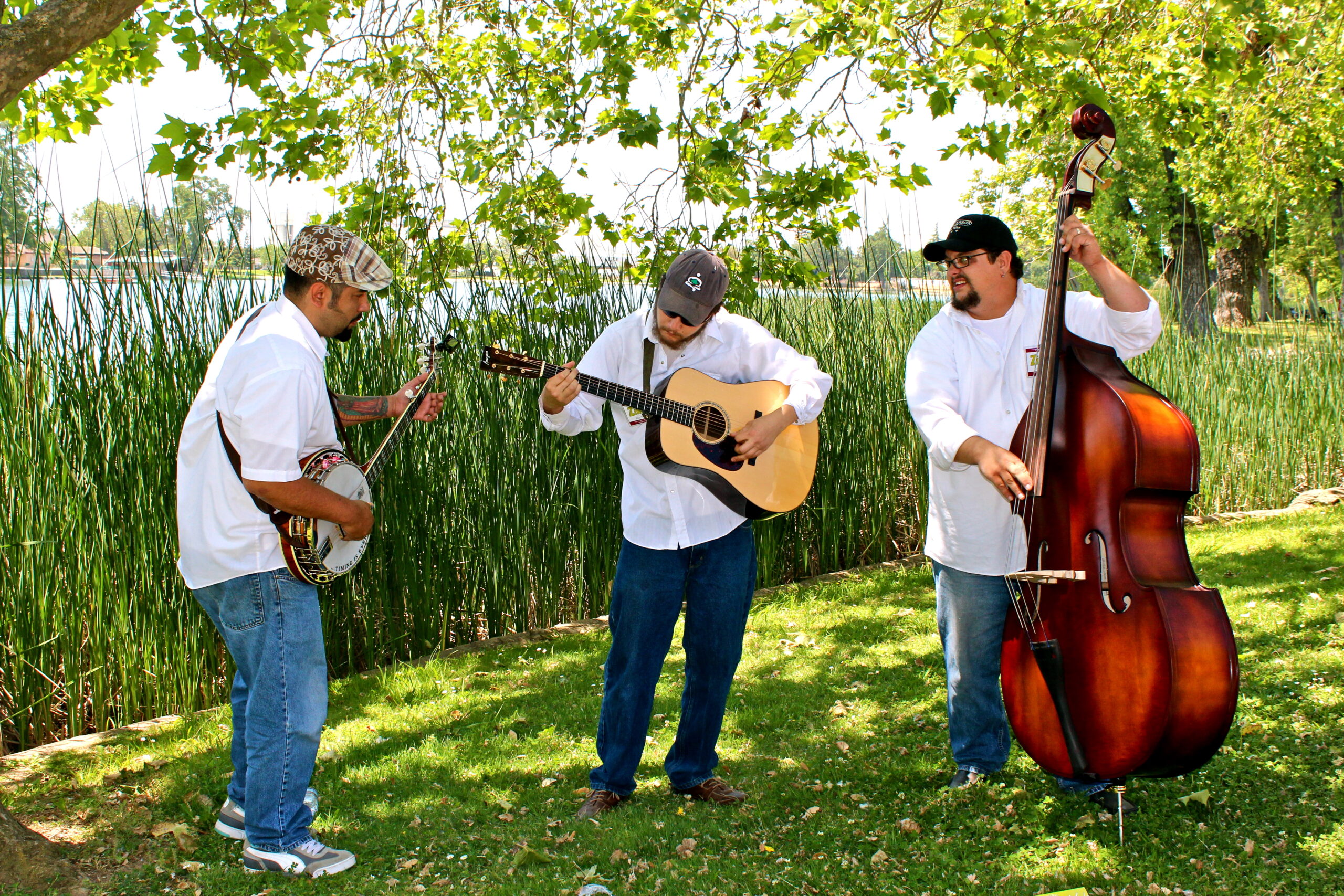 Musicians playing string instruments outdoors near a vineyard in Lodi, California.