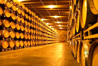 Wine barrels stored in a cellar at Lodi Winegrape Commission for wine aging and production.