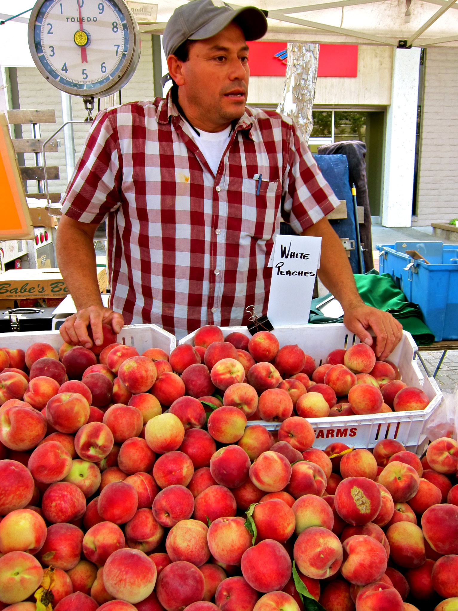 Man selling fresh peaches at Lodi Winegrape Commission market booth.
