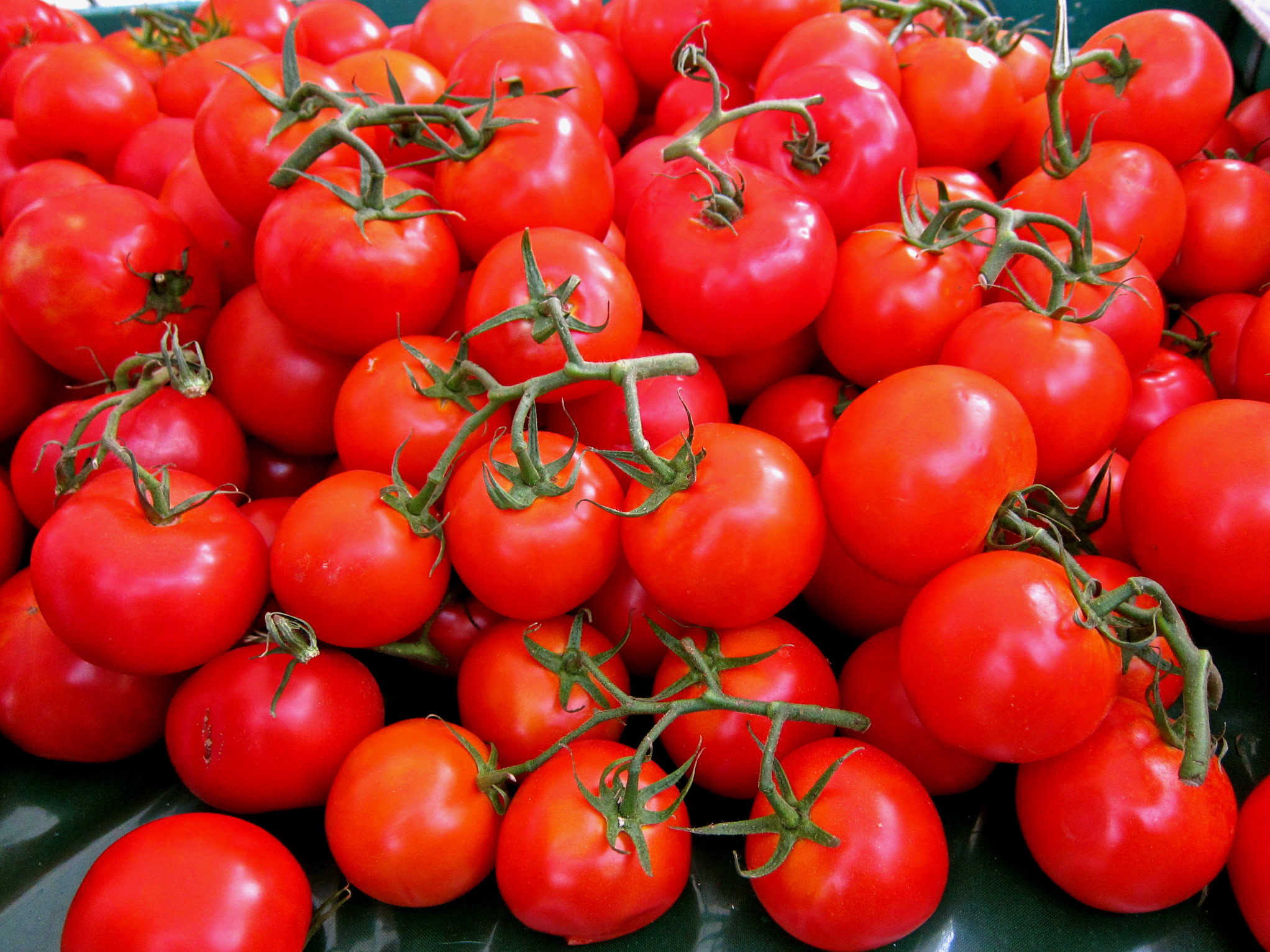 Fresh ripe tomatoes from Lodi Winegrape Commission, vibrant red and juicy, perfect for culinary use.
