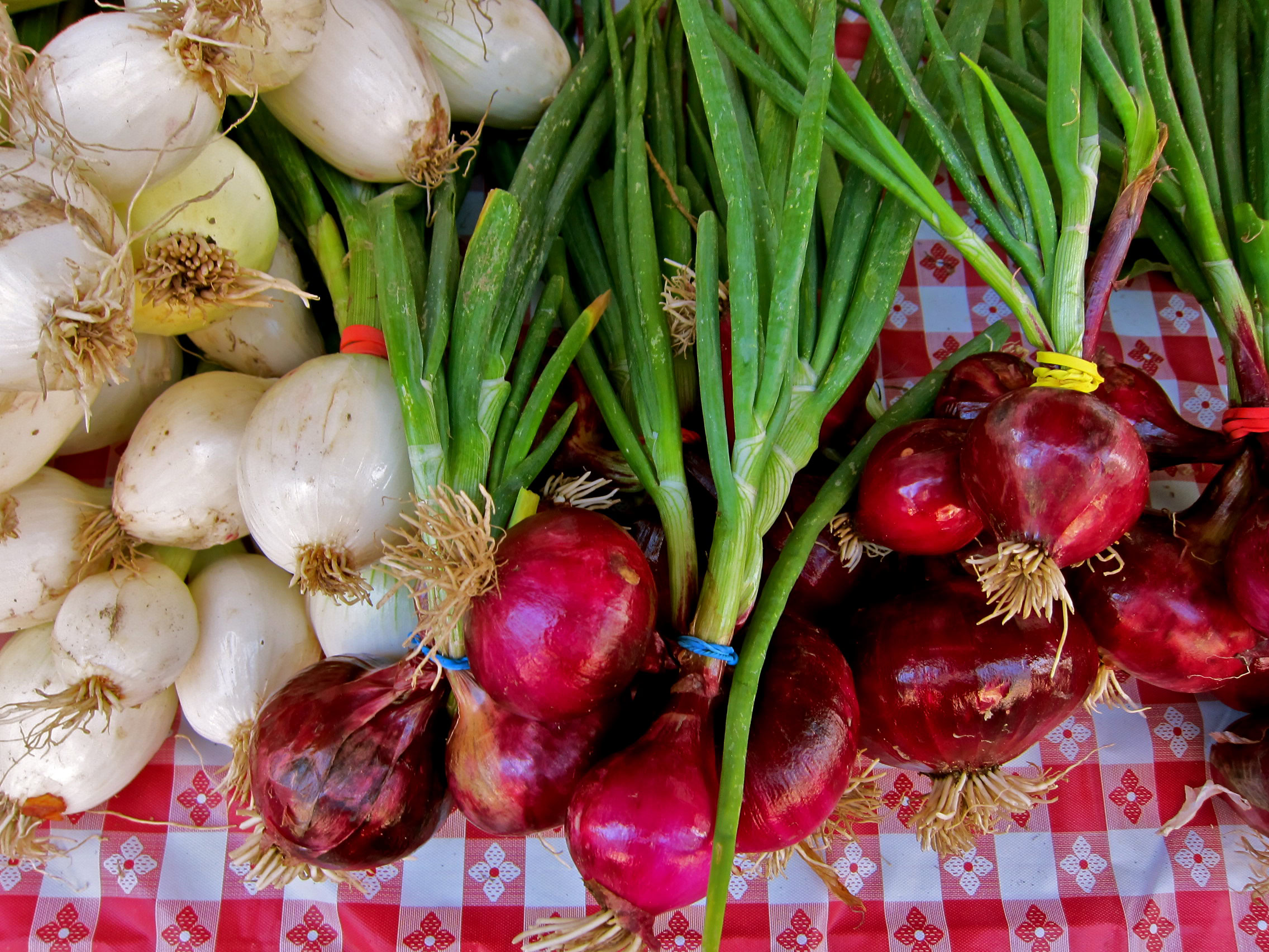 Freshly harvested onions and garlic from Lodi, showcasing vibrant red onions and white garlic bulbs.