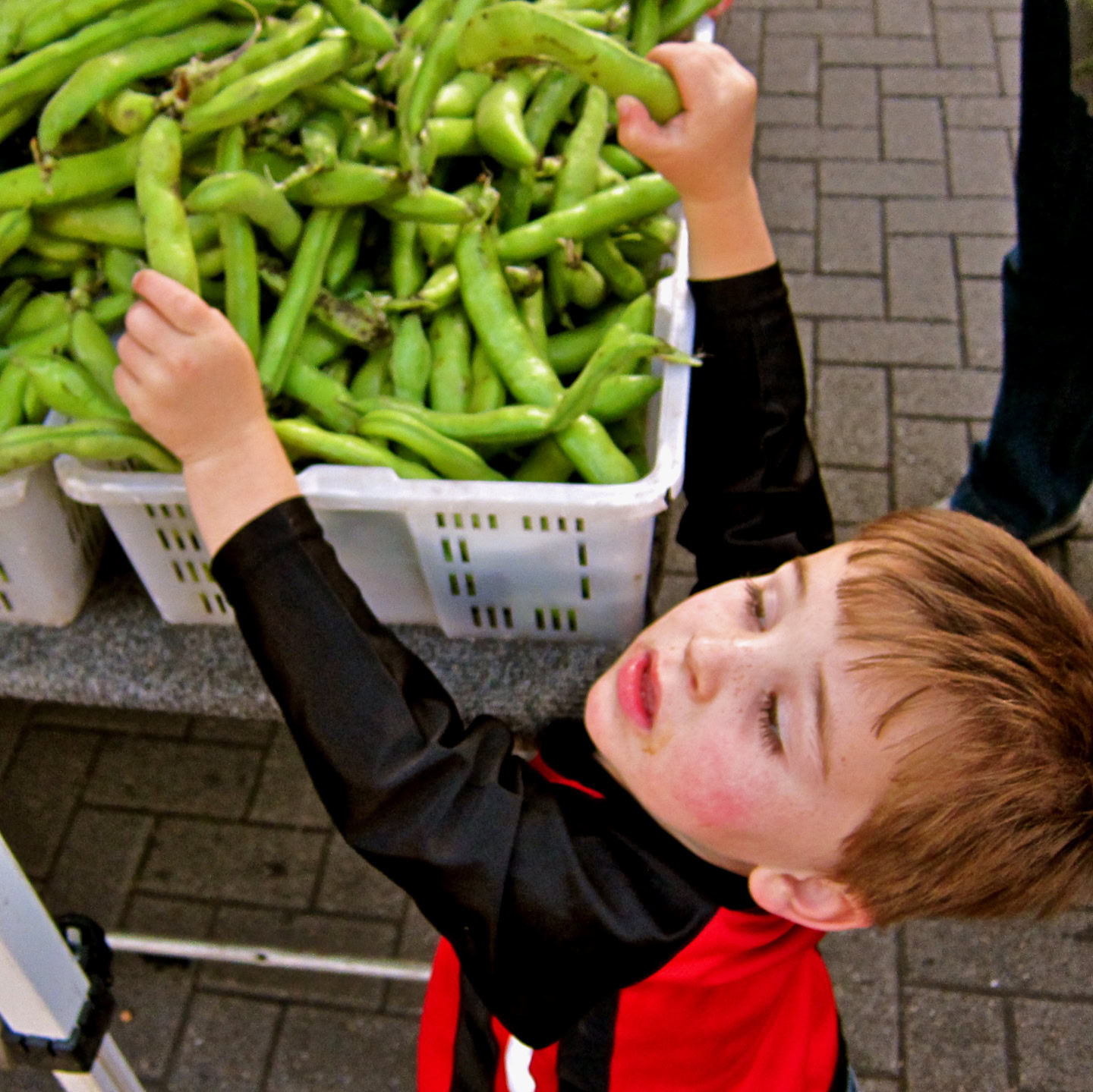 Child reaching for fresh green grapes at a vineyard or market, promoting Lodi winegrape harvest.