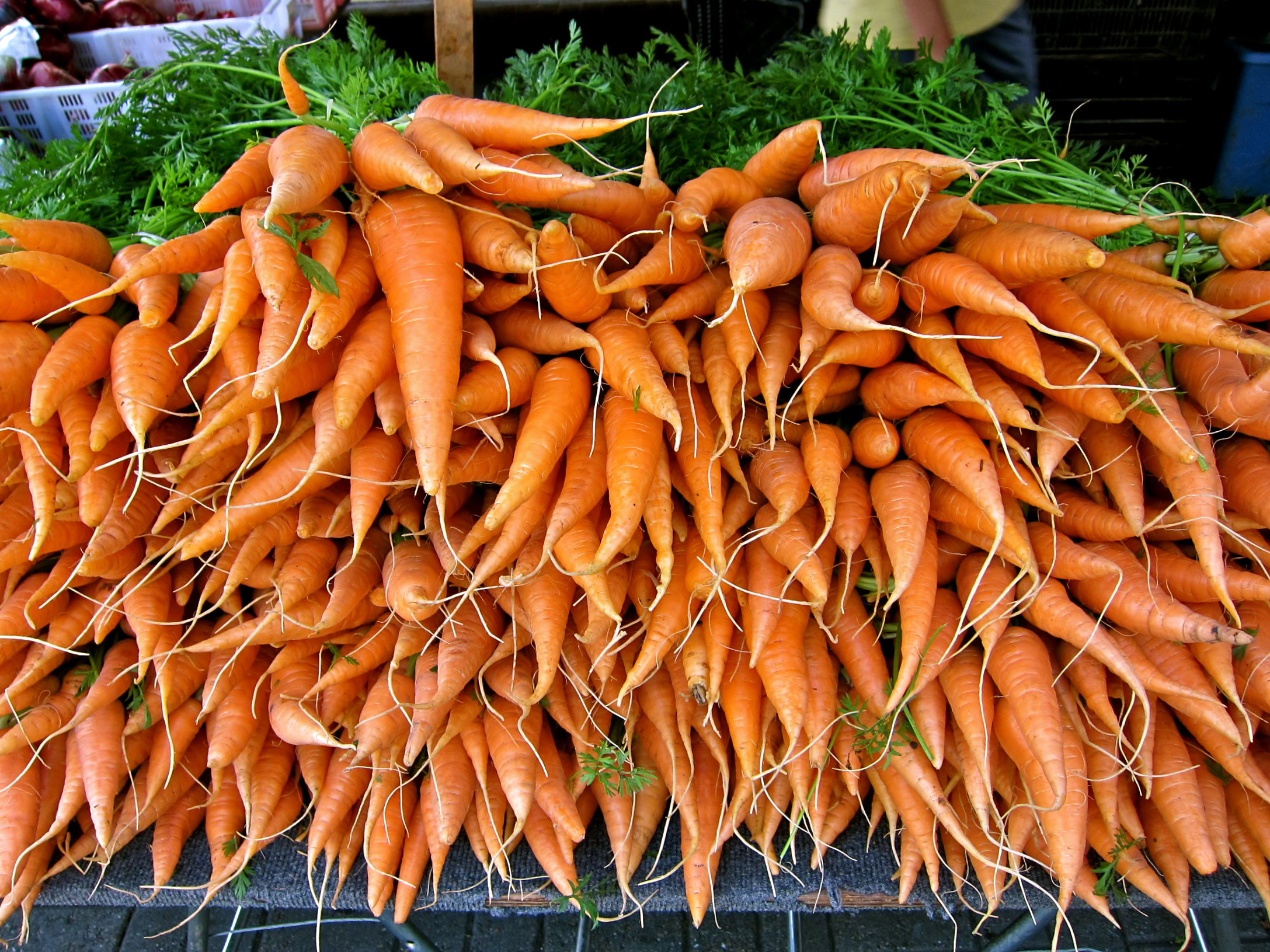 Heap of fresh orange carrots with green tops at Lodi Farmers Market.