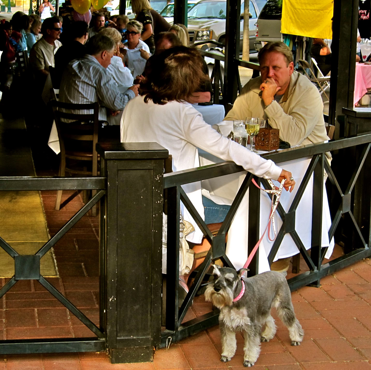 People enjoying wine tasting at an outdoor event with a dog present, showcasing Lodi's wine culture.
