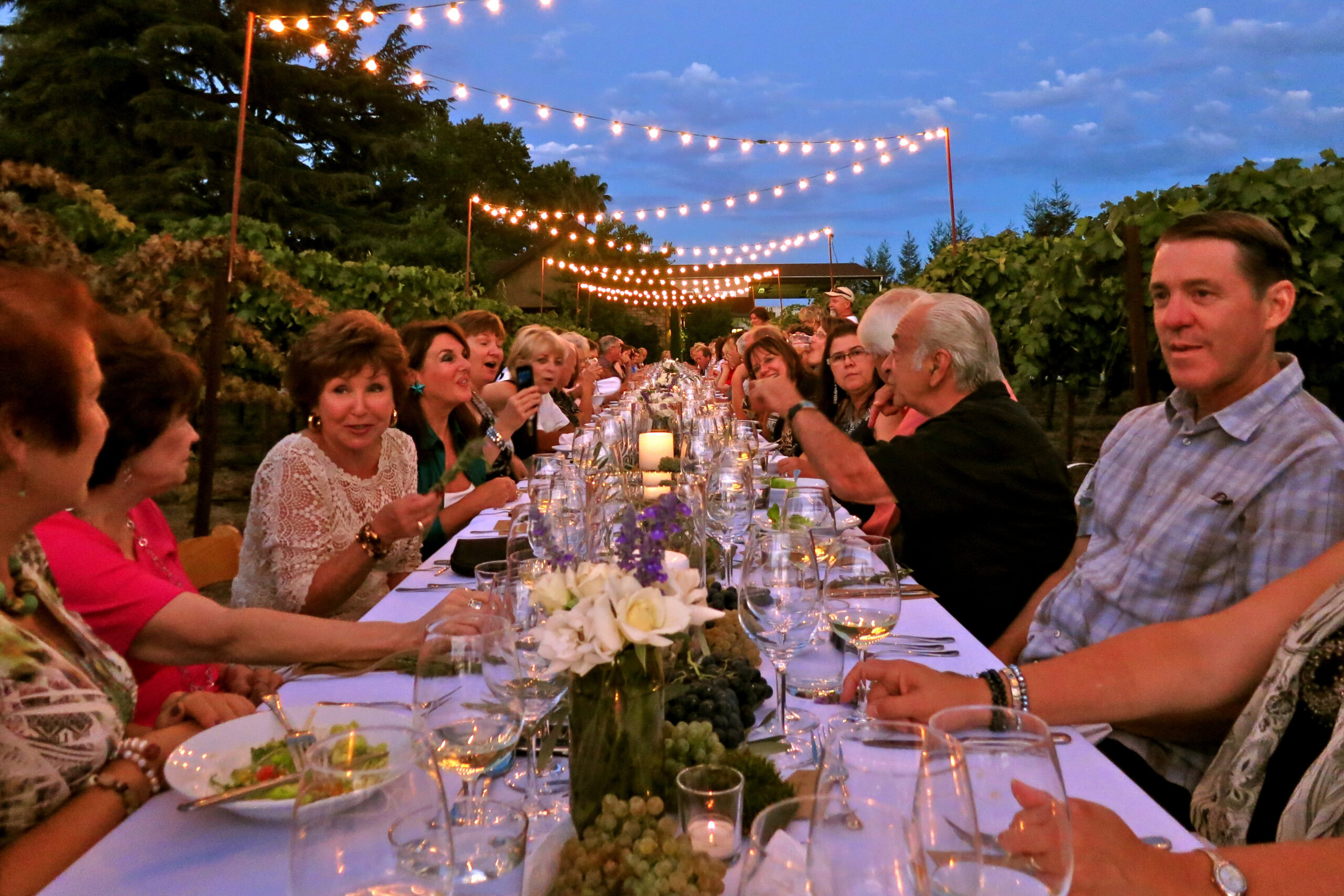 People enjoying a dinner under string lights at an outdoor vineyard event in Lodi, California.