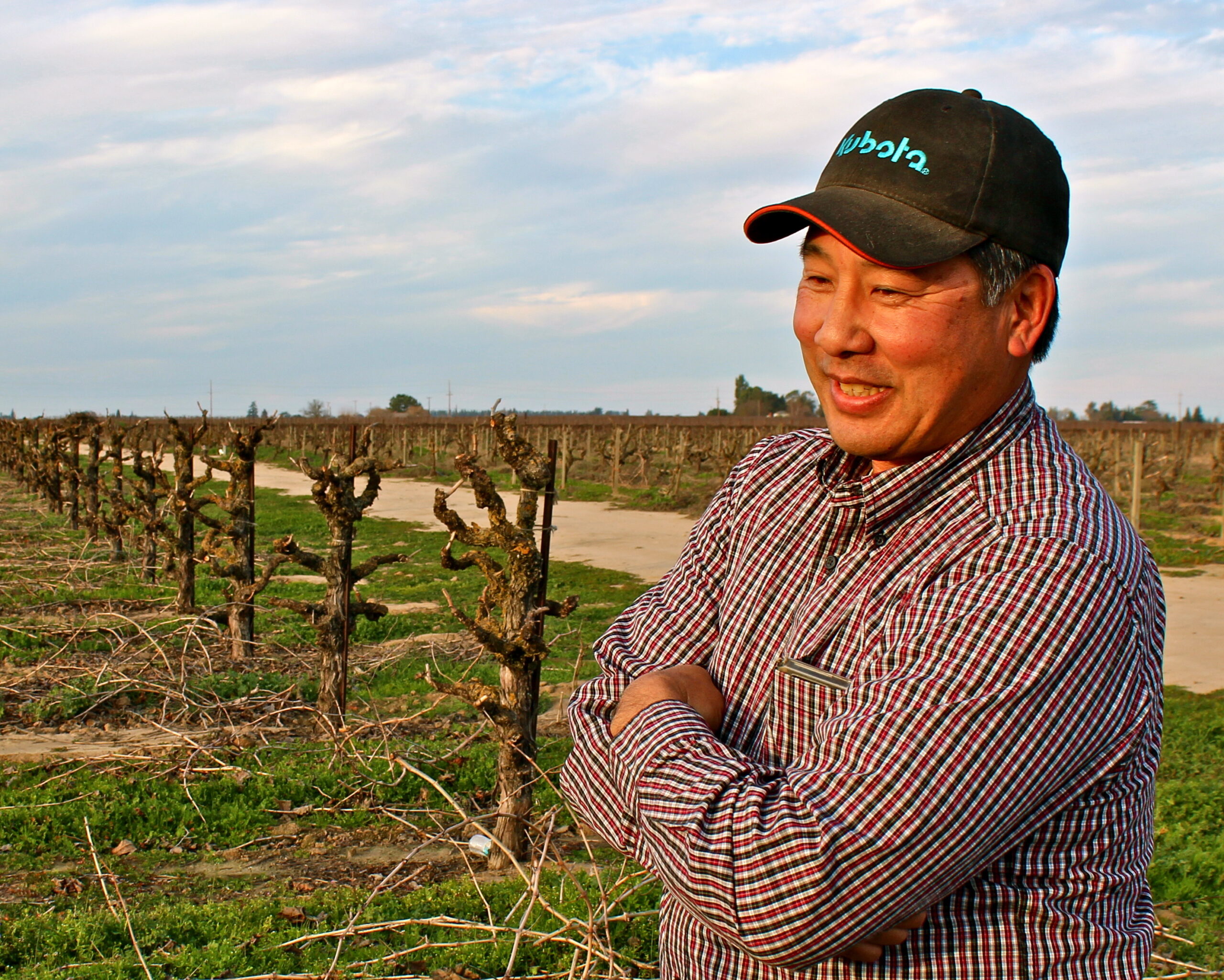 Lodi winegrower standing in vineyard with pruned grapevines and blue sky.