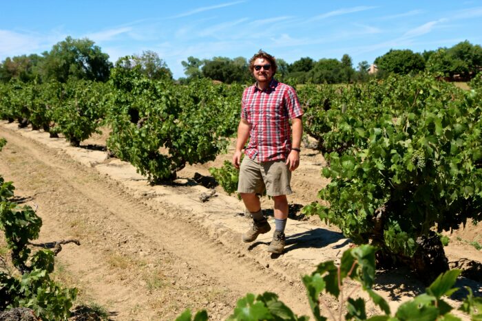 Man walking through lush vineyard rows in Lodi, California, during sunny day, showcasing grape cultivation for wine.